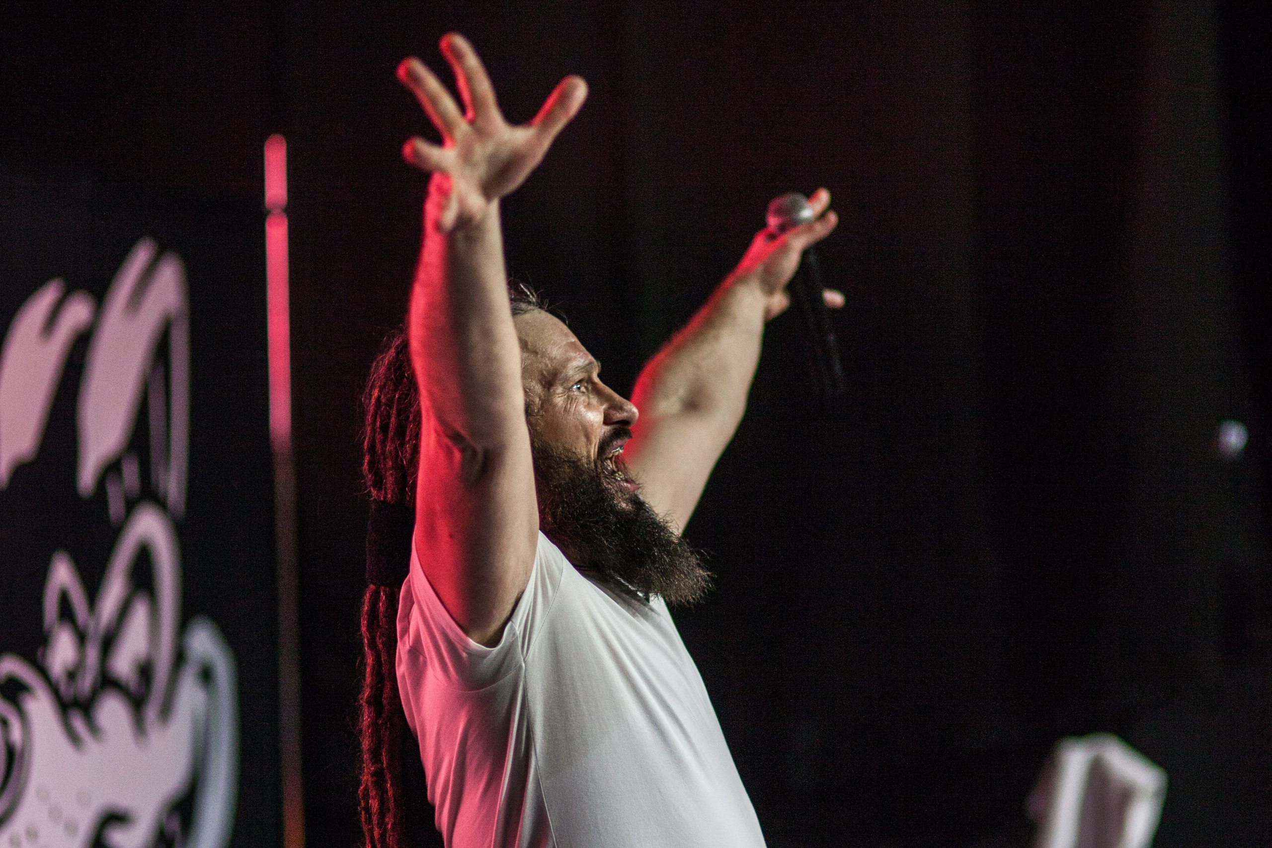 Distamper. Твой фотограф — Полосатый кот