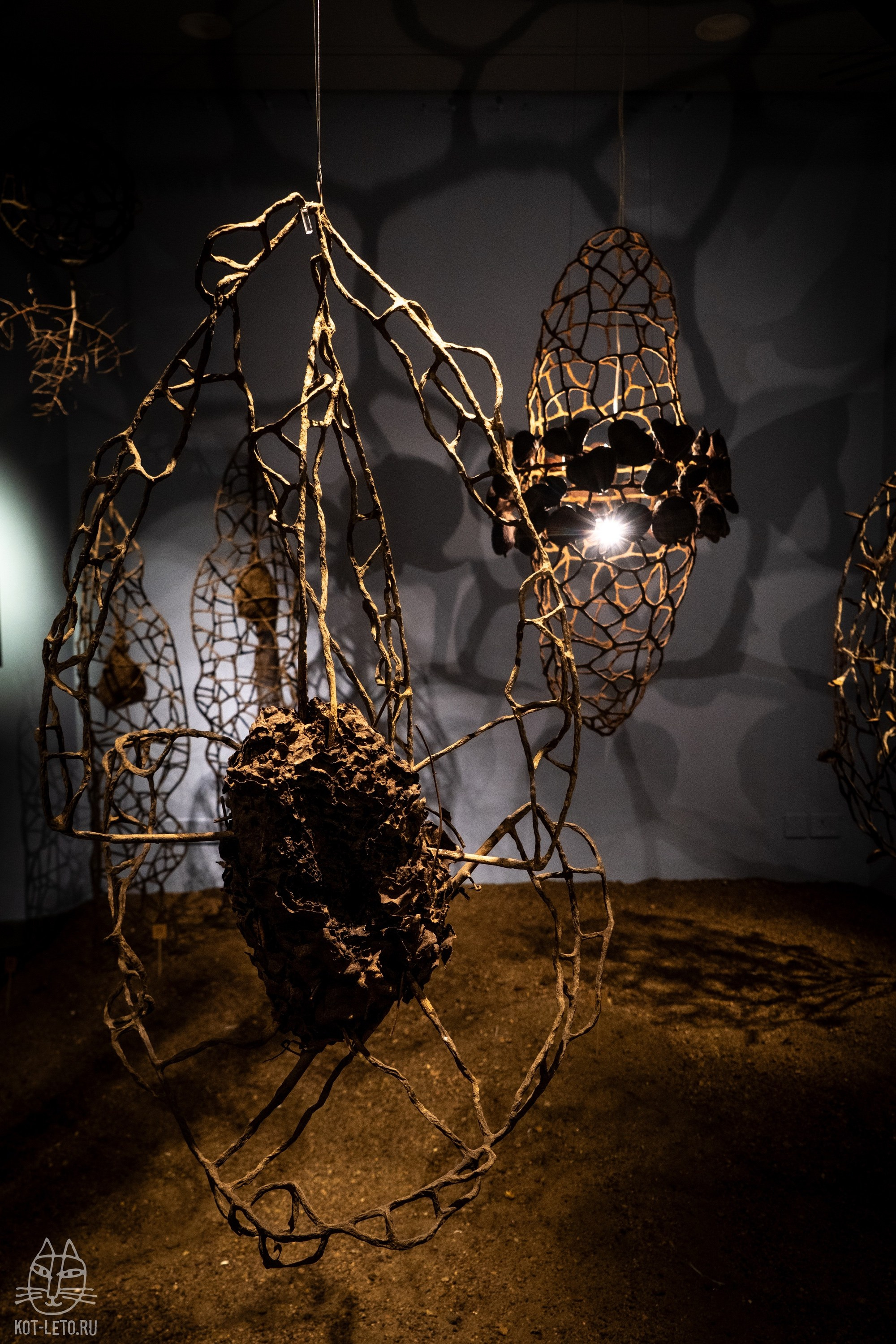 Exhibition BIOPHILIA (Goa). Твой фотограф — Полосатый кот