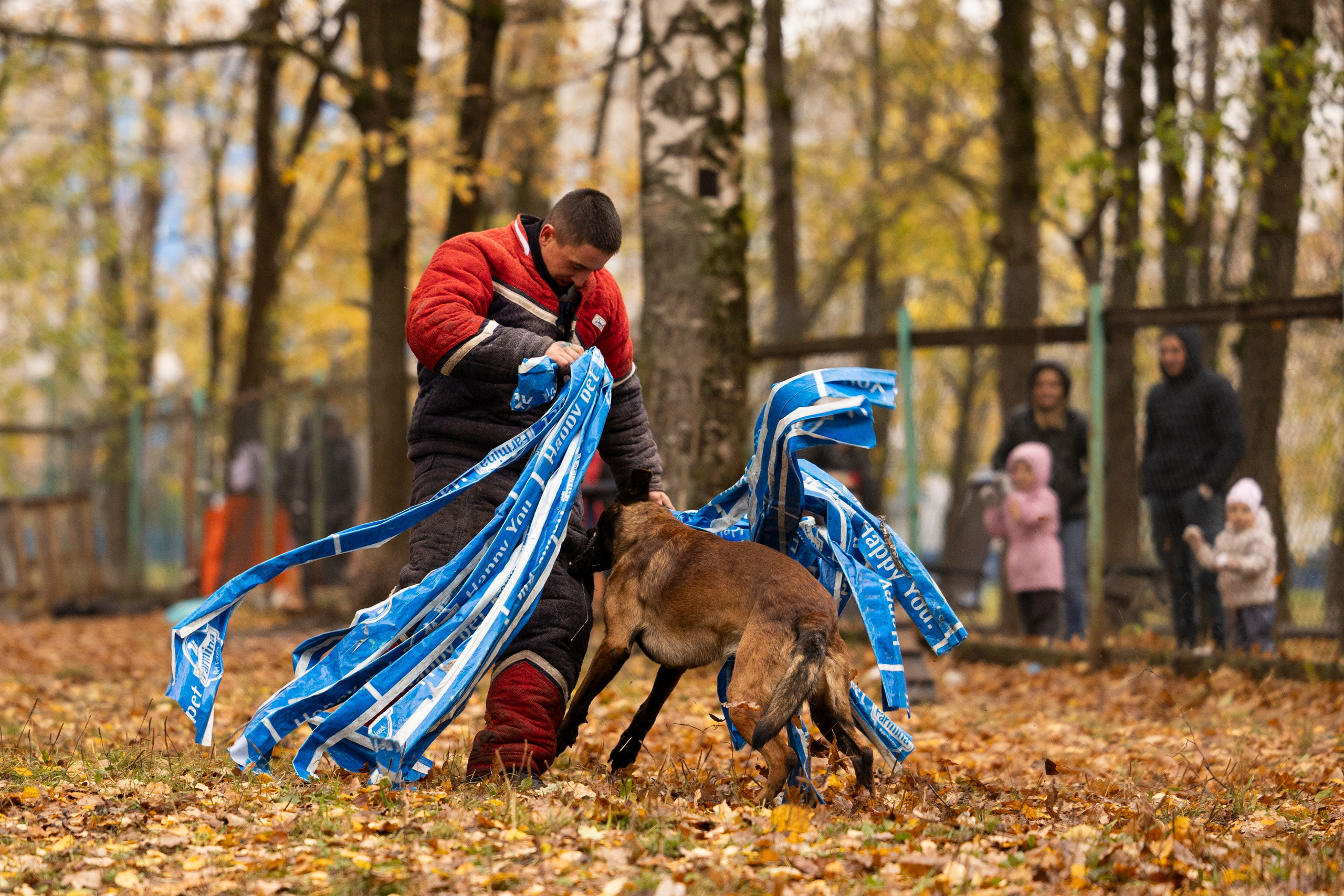 Соревнования по Мондьорингу г. Вологда. Фотограф-анималист Анна Маринич