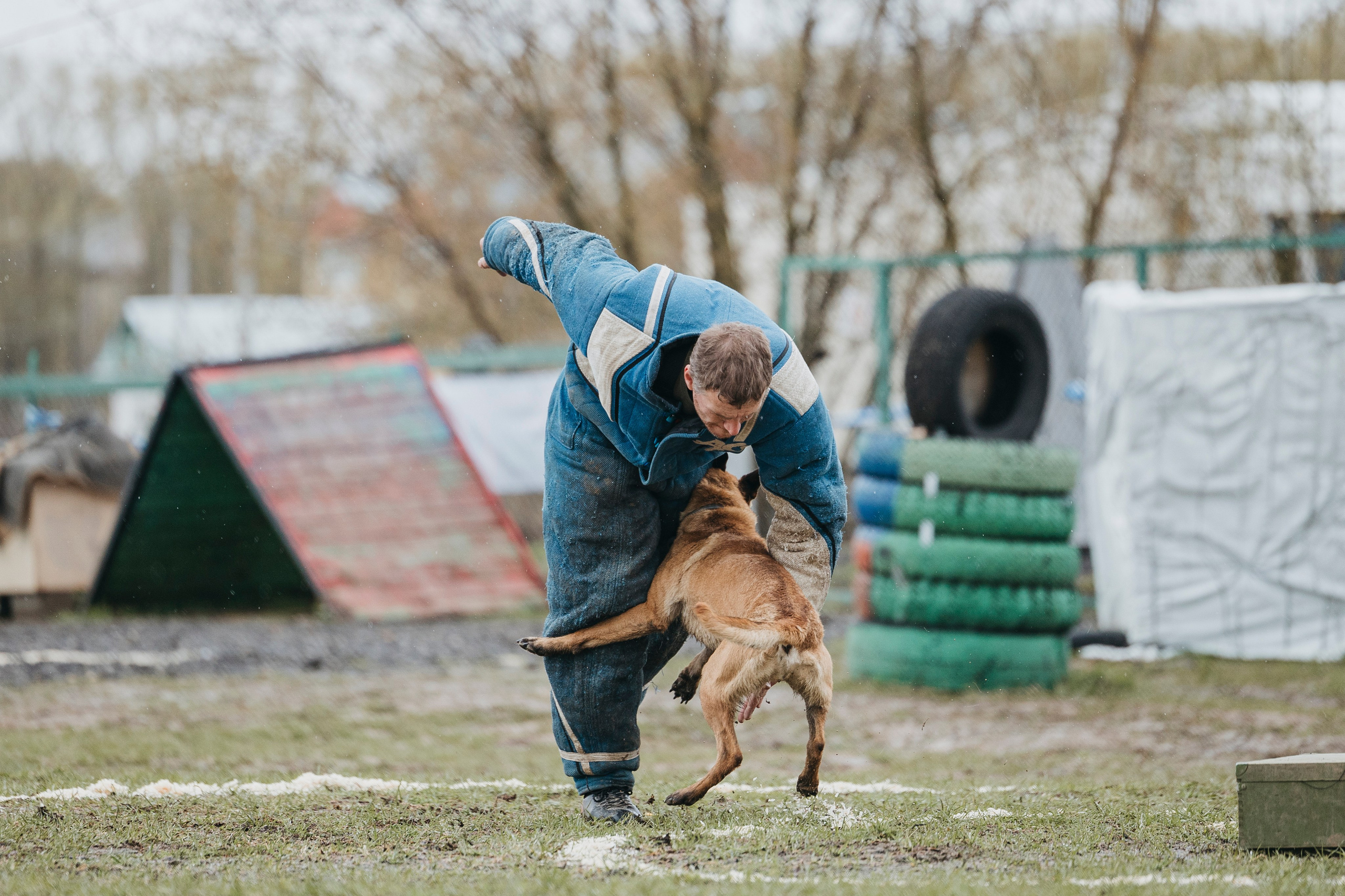 09.05.25 Вологда соревнования. Фотограф-анималист Анна Маринич