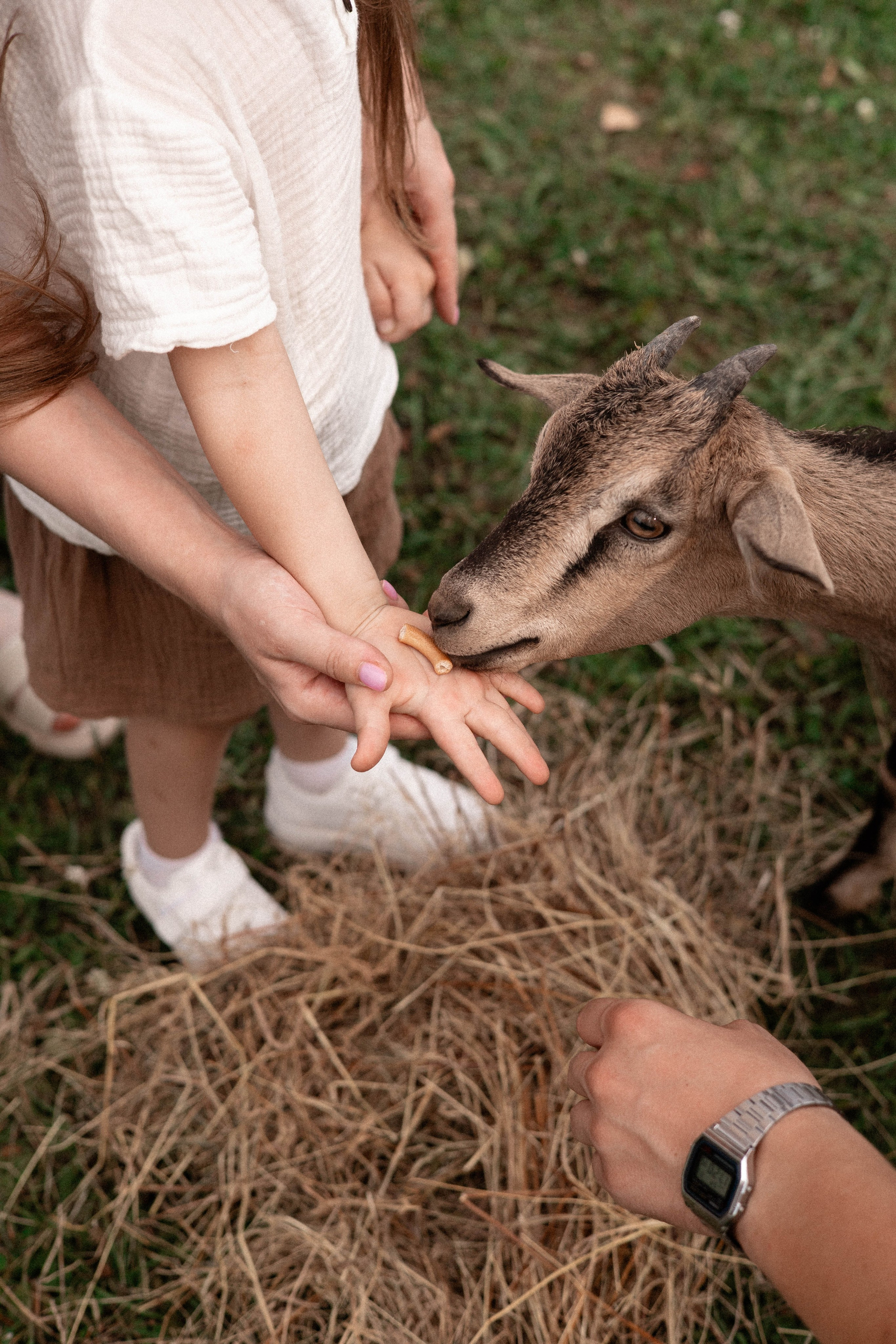Давид, Настя и Дима. Свадебный и портретный фотограф Соломко Диана