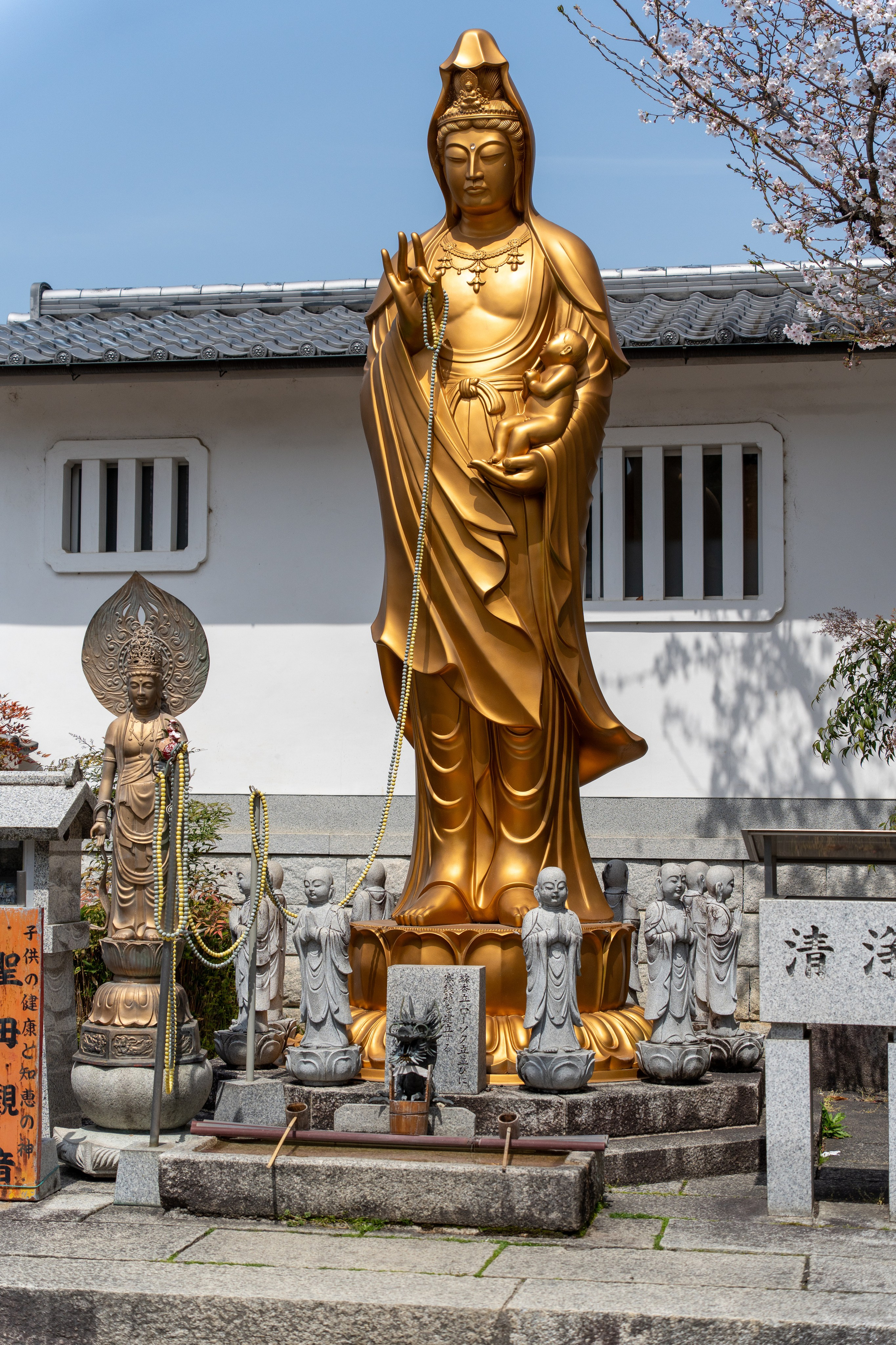 Япония, сакура. Творческие сьемки