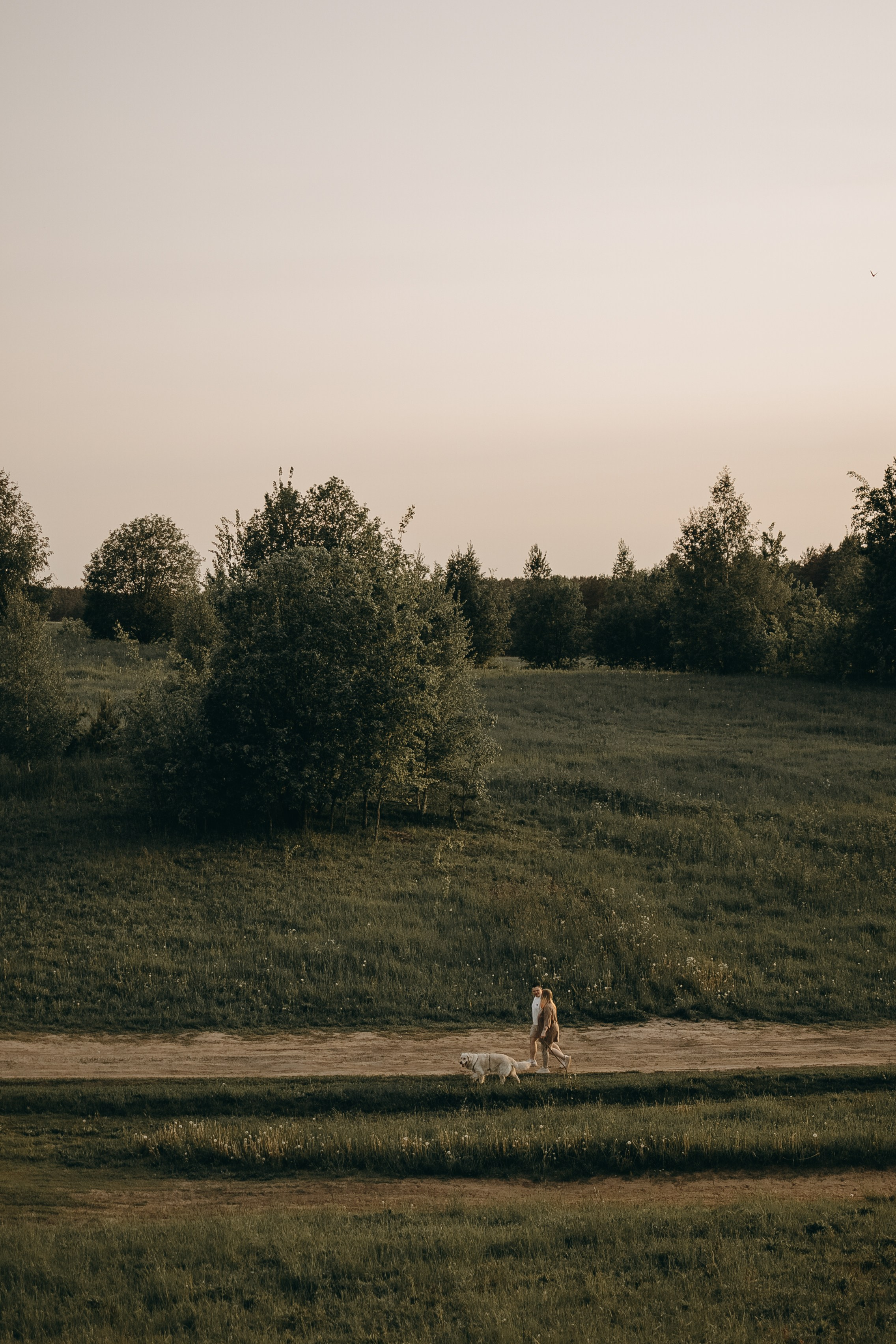 Милка и ребята. Фотограф — Анималист | Санкт-Петербург