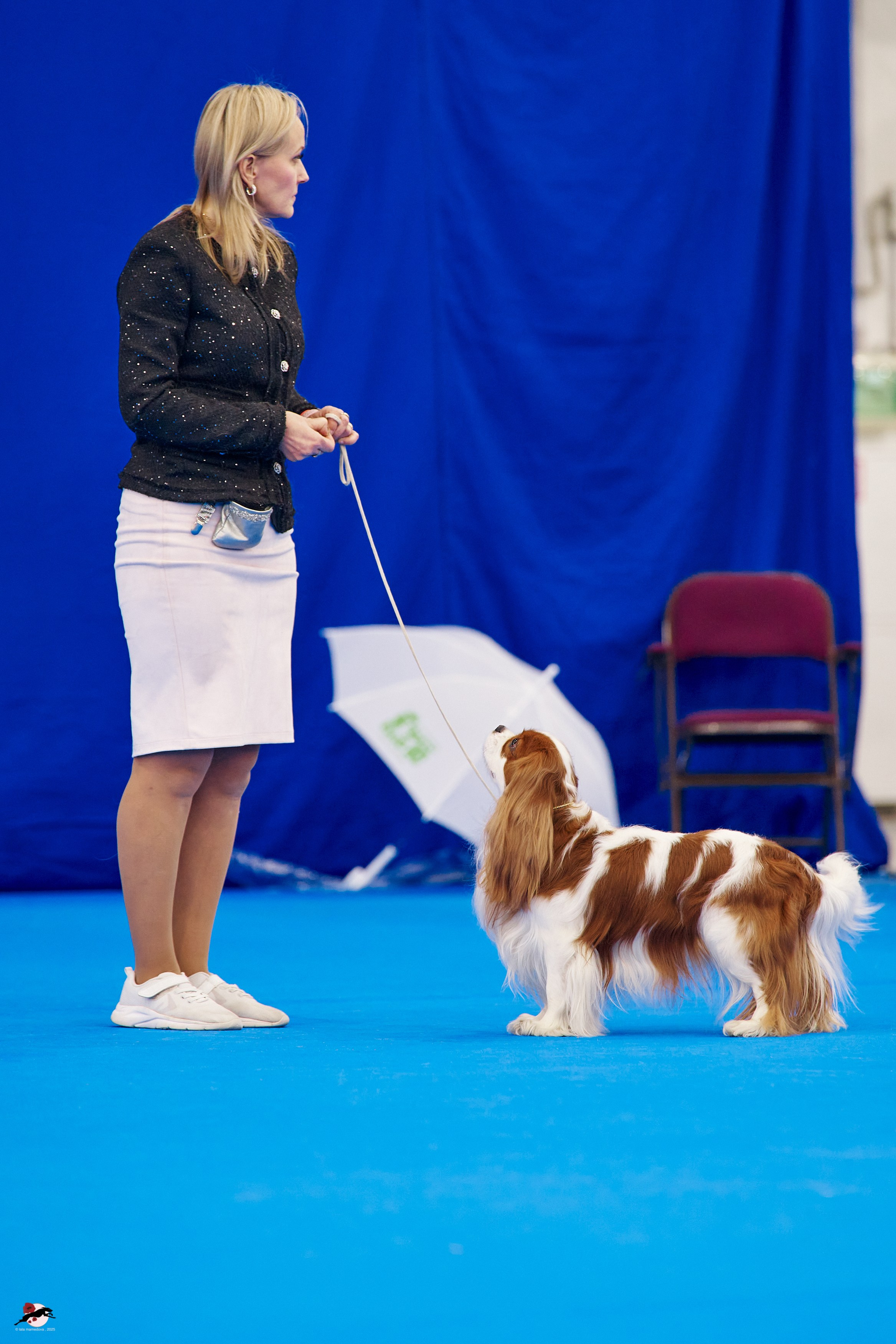27.04.2025 | "Петербург-Элита 2025" & «КУБОК «ЭЛИТЫ»-2025»