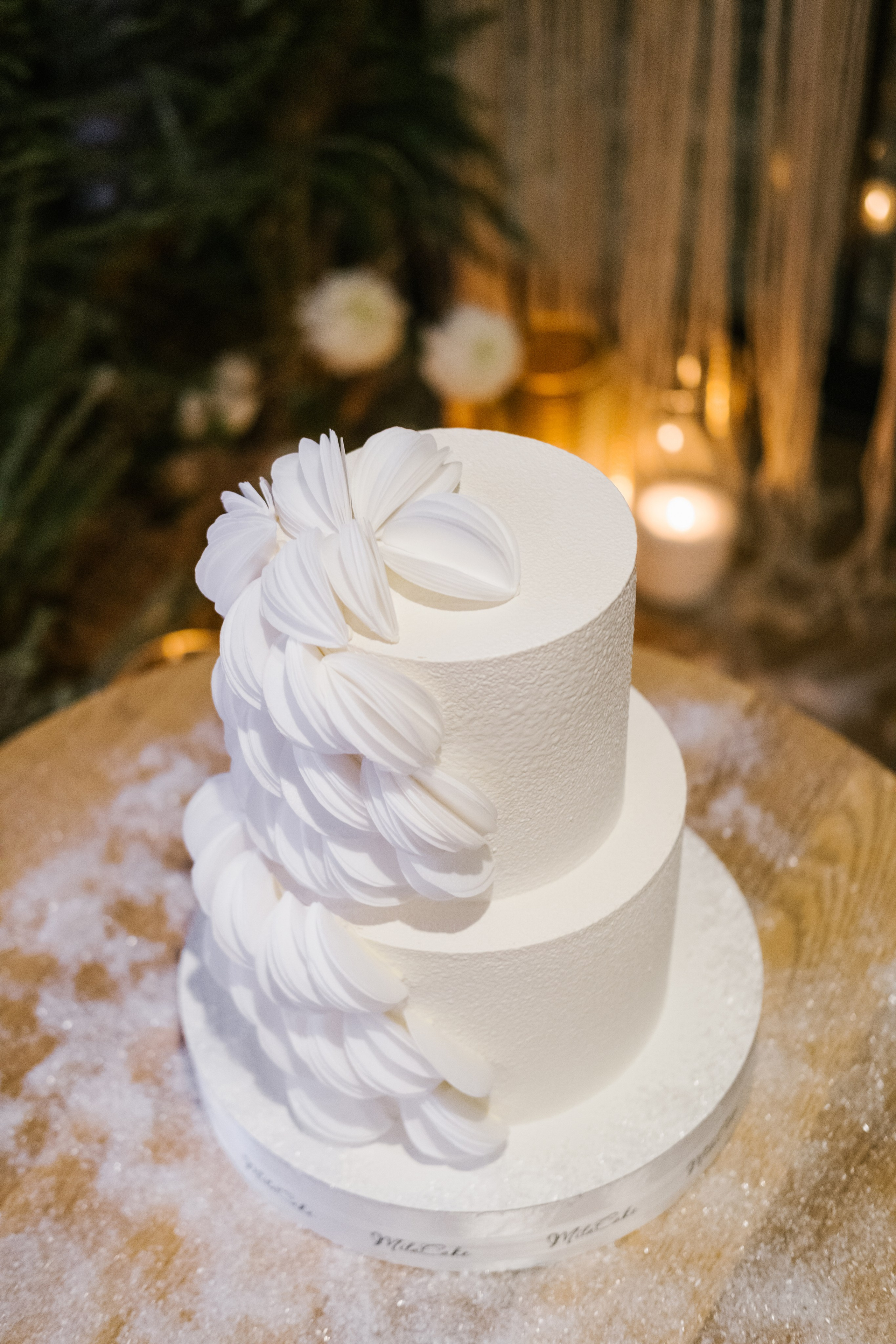 Алёна / Дмитрий. Свадебный Видеограф Фотограф в Сочи