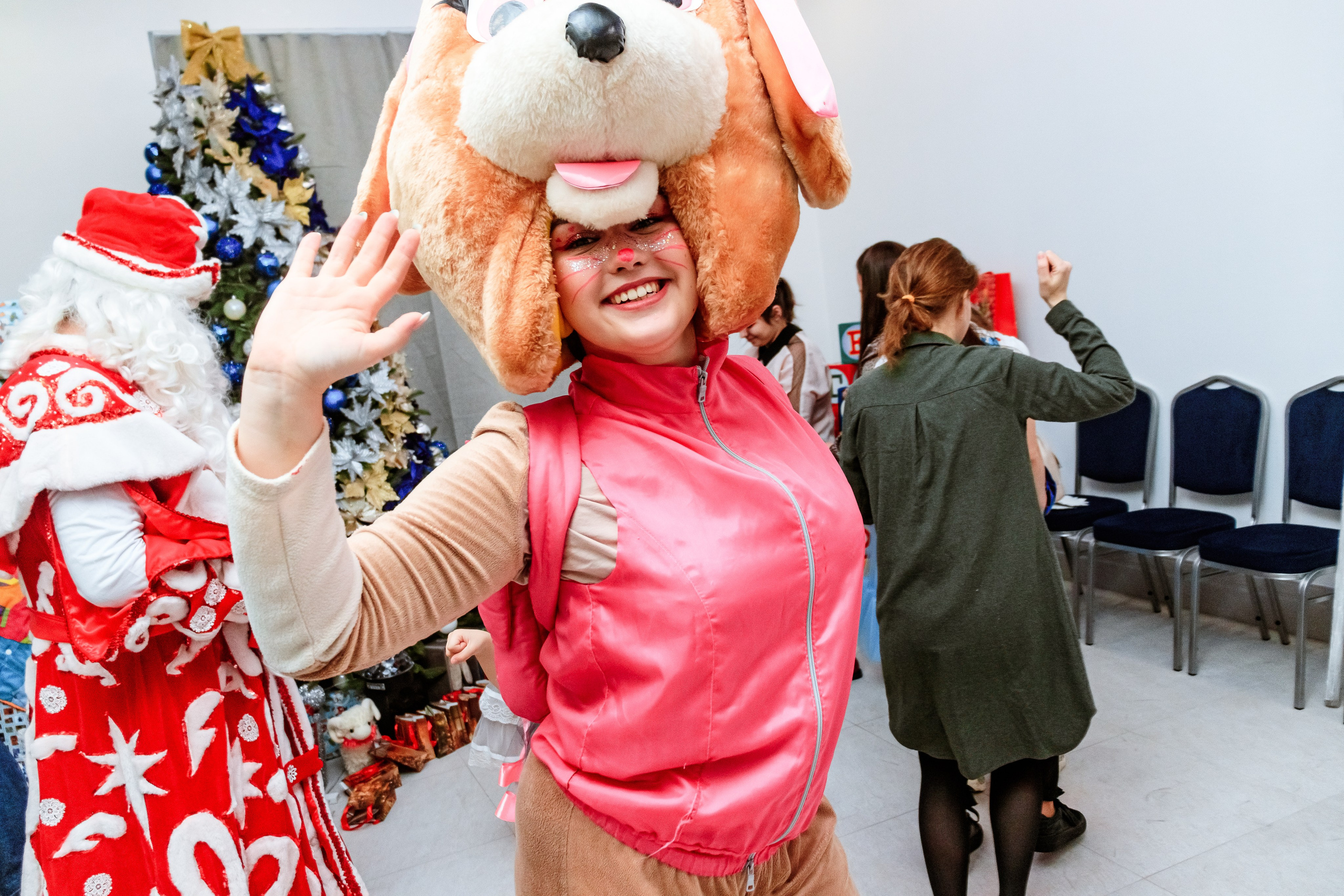 Знайка. Щенячий новый год. Фотограф — Новосибирск