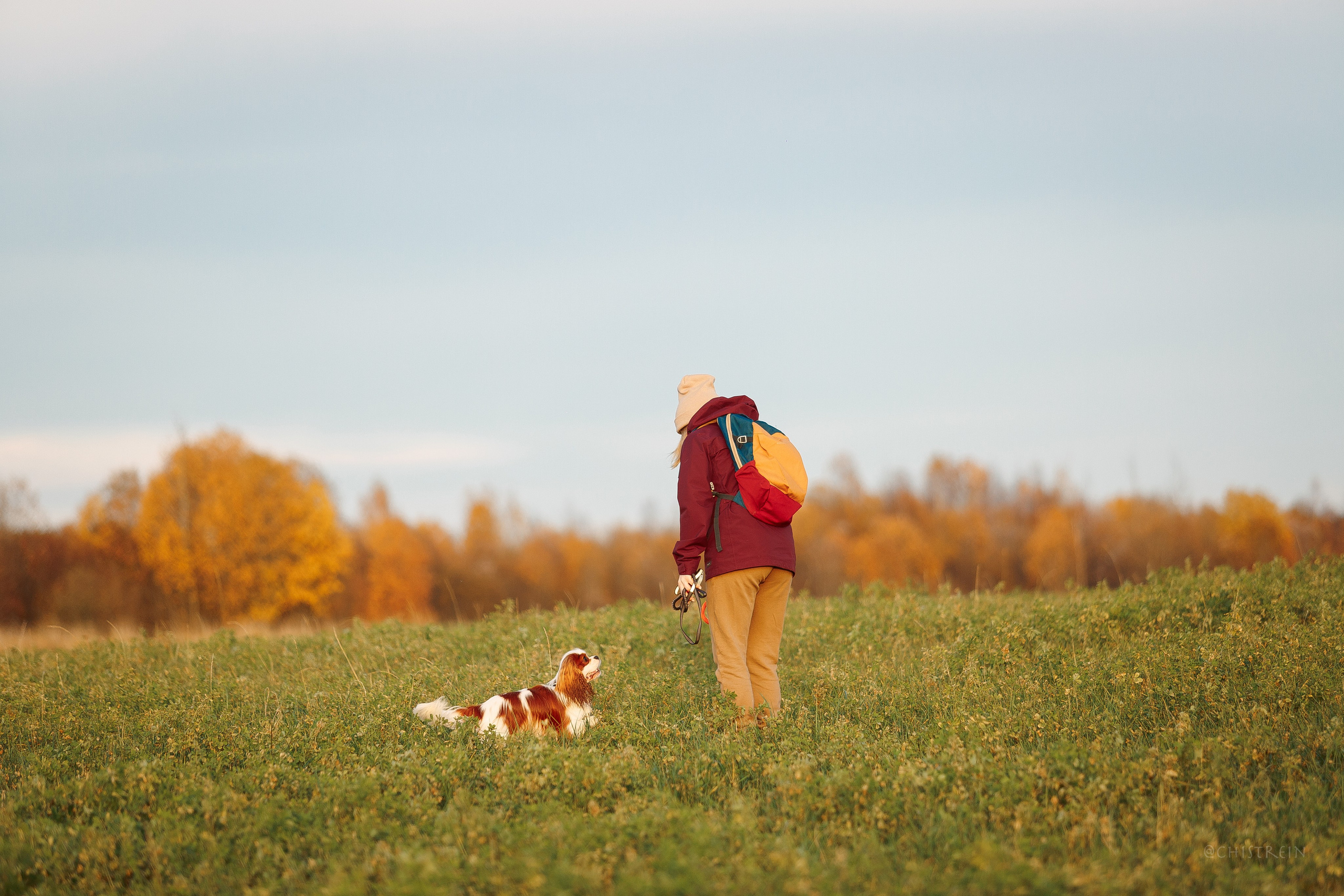 Октябрьский закат в полях. Алина и Лео. Фотограф-анималист Наталия Чистюхина в г. Сосновый Бор и ЛО