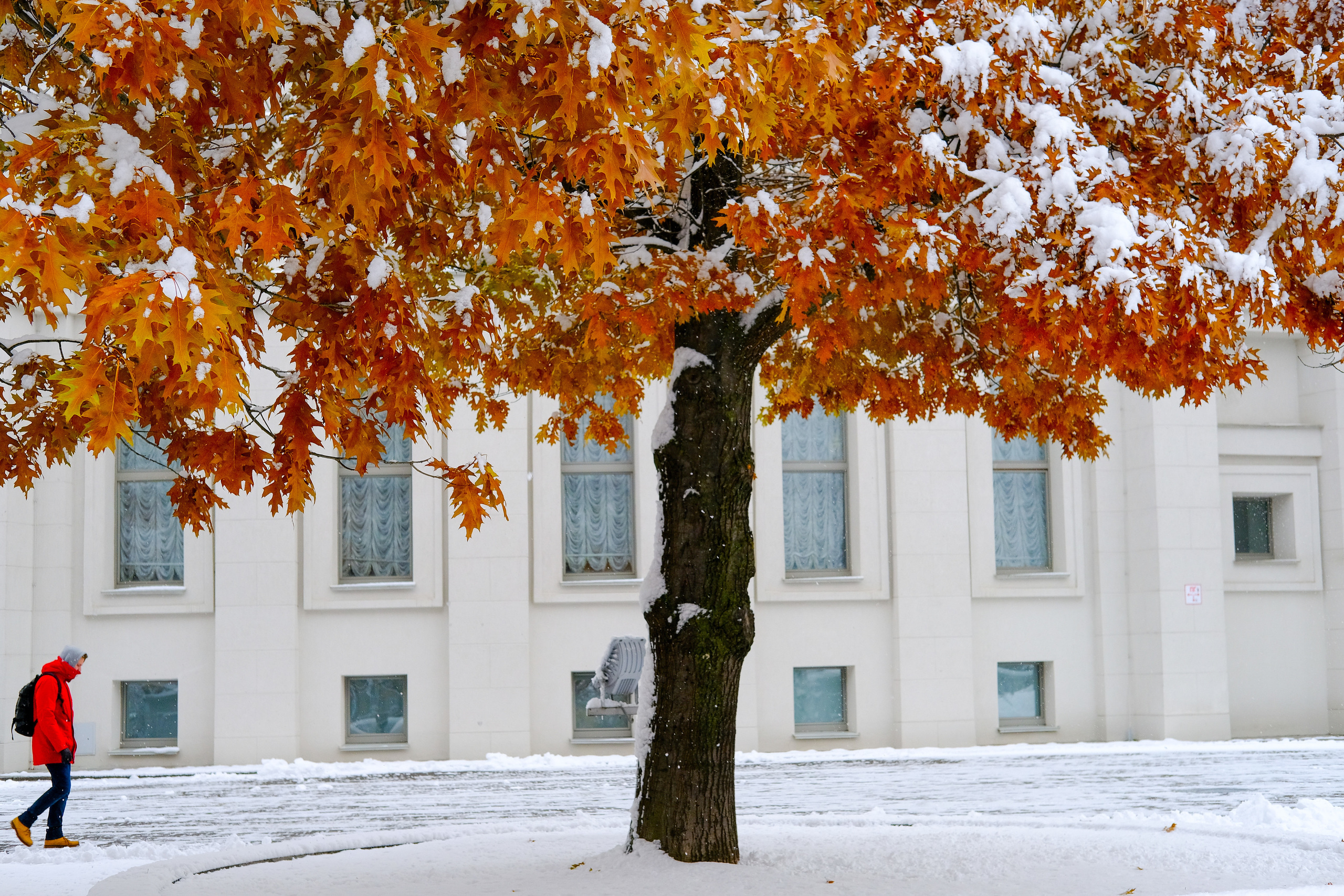 Портфолио. Фотограф Максим Малиновский