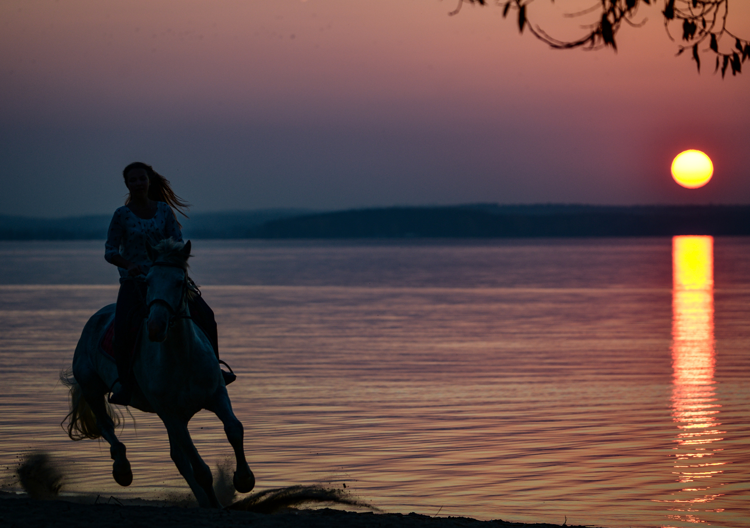 Портфолио. Фотограф Максим Малиновский