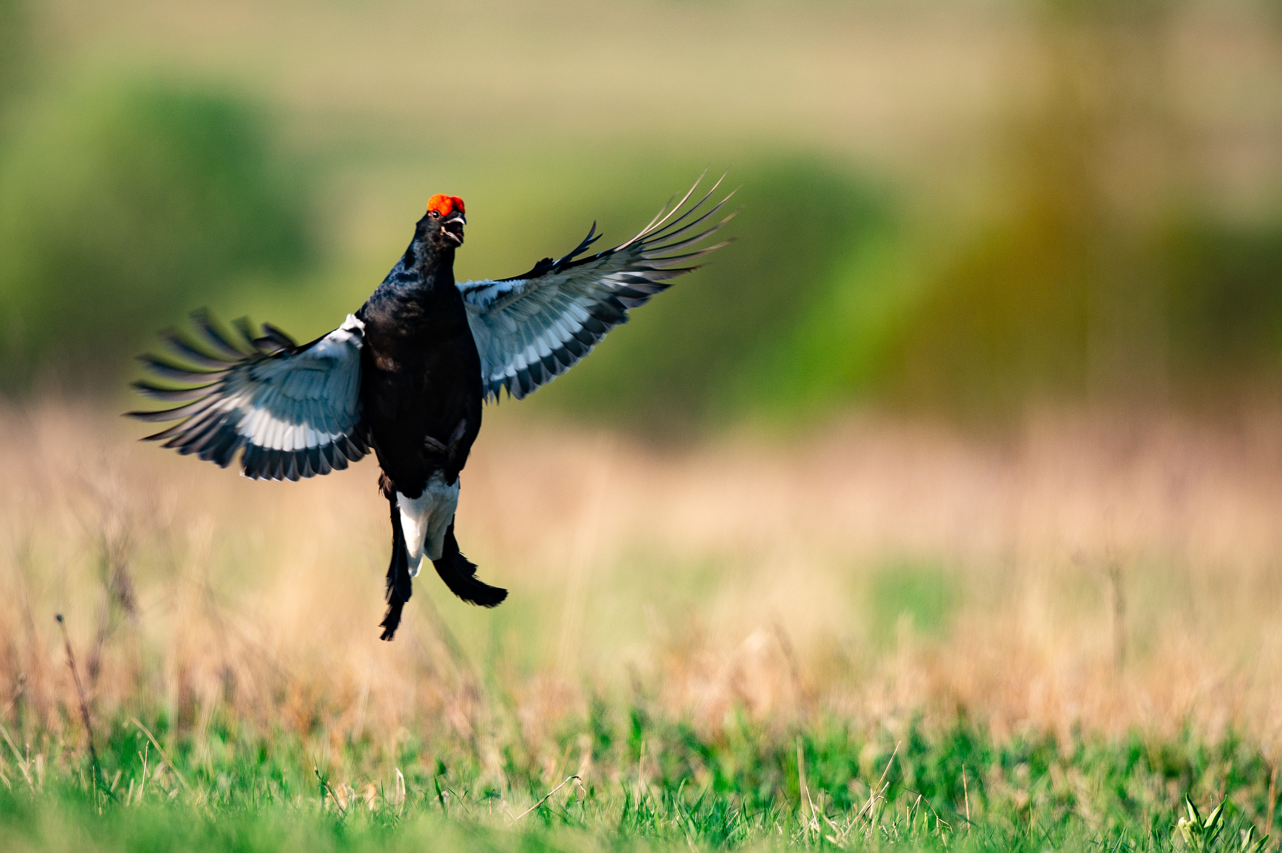 Портфолио. Фотограф Максим Малиновский