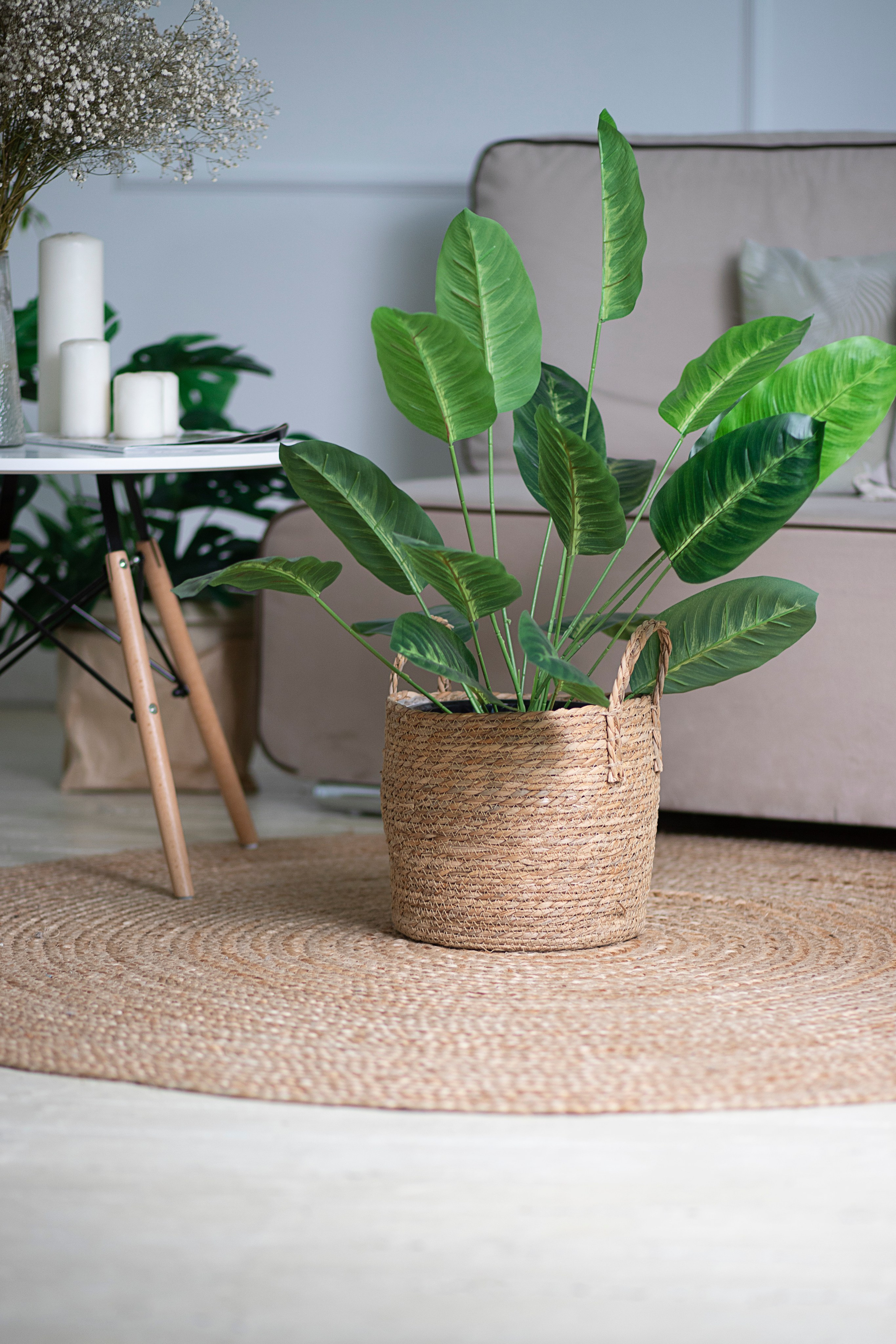 Маркетплейс. Фотограф Пушкино и Москва Анастасия Коган