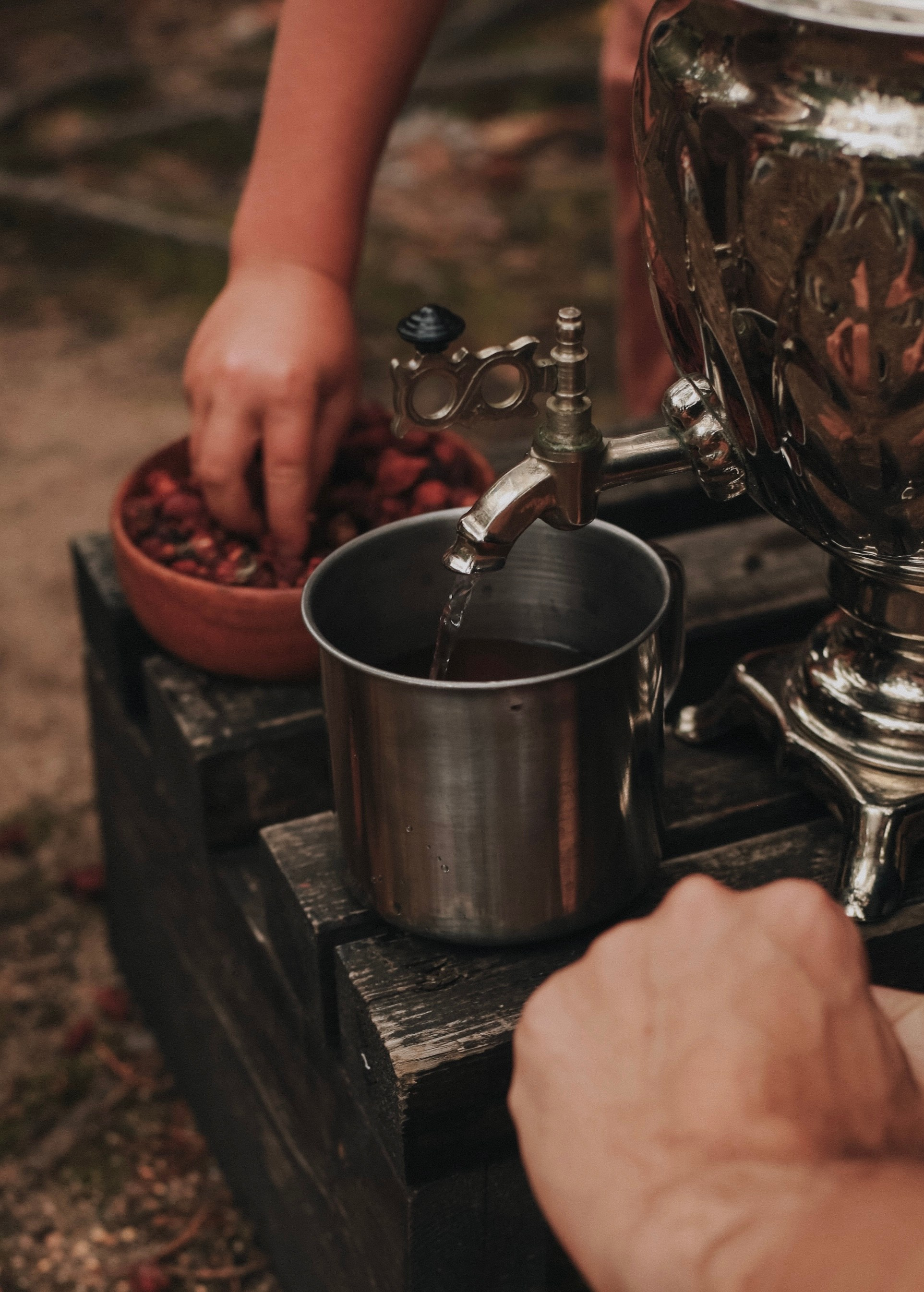 Лесная история. Детский фотограф, Волгоград