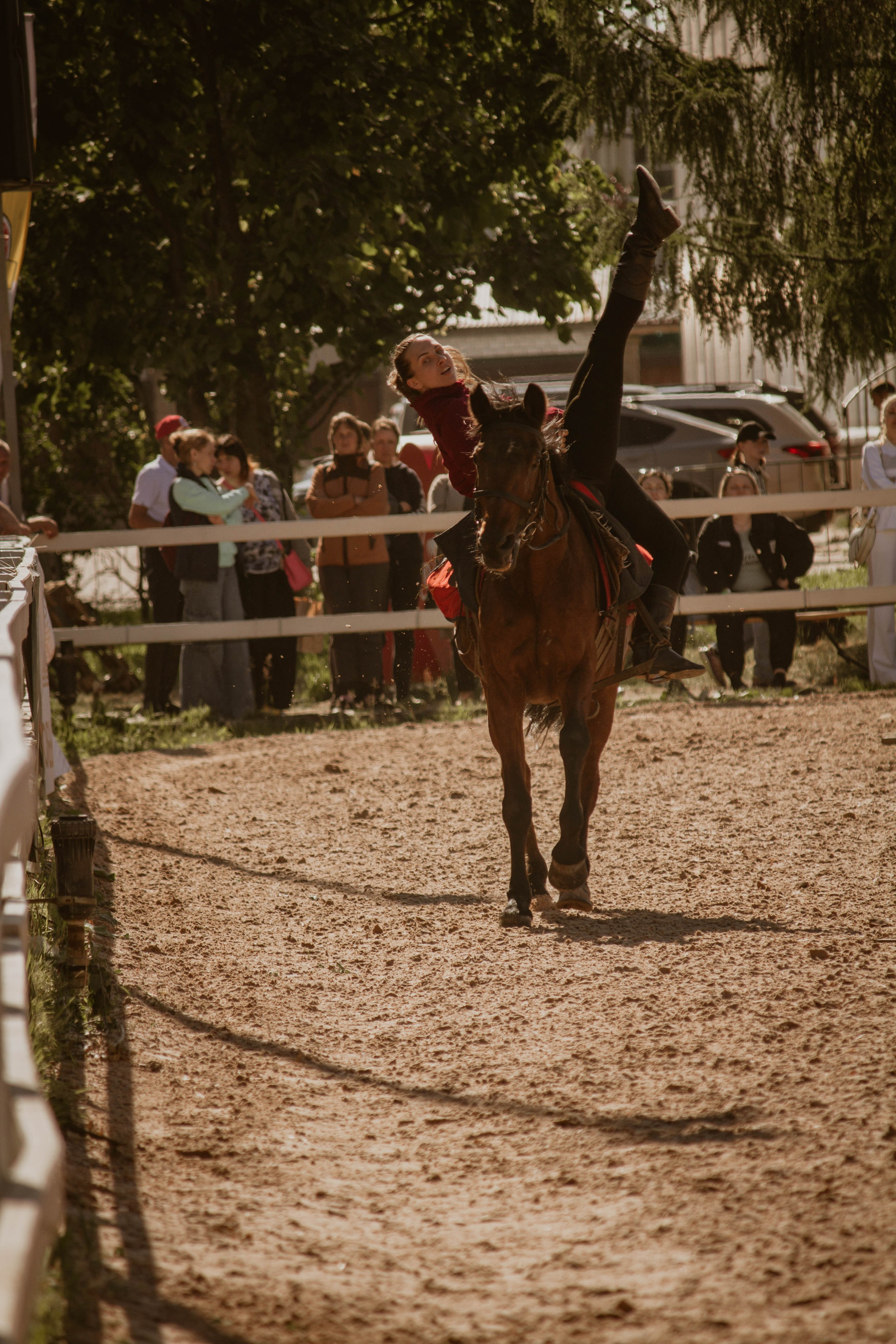 ИППОСФЕРА — Международная конная выставка. Создадим шедевр? Виталина и её фотоискусство