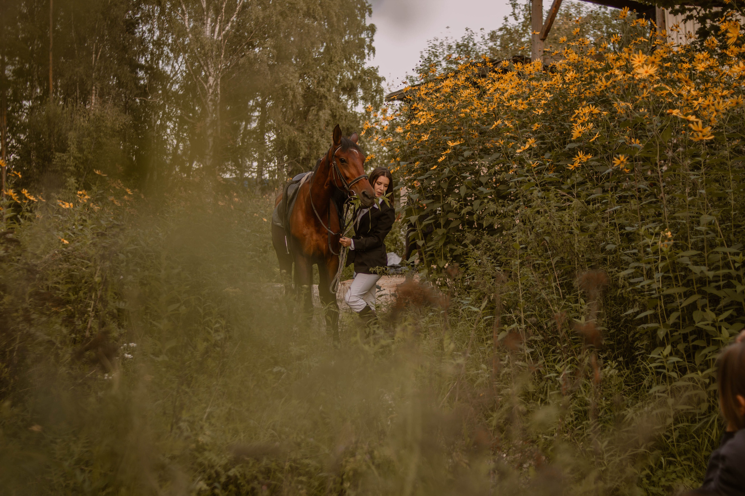 С лошадкой. Создадим шедевр? Виталина и её фотоискусство