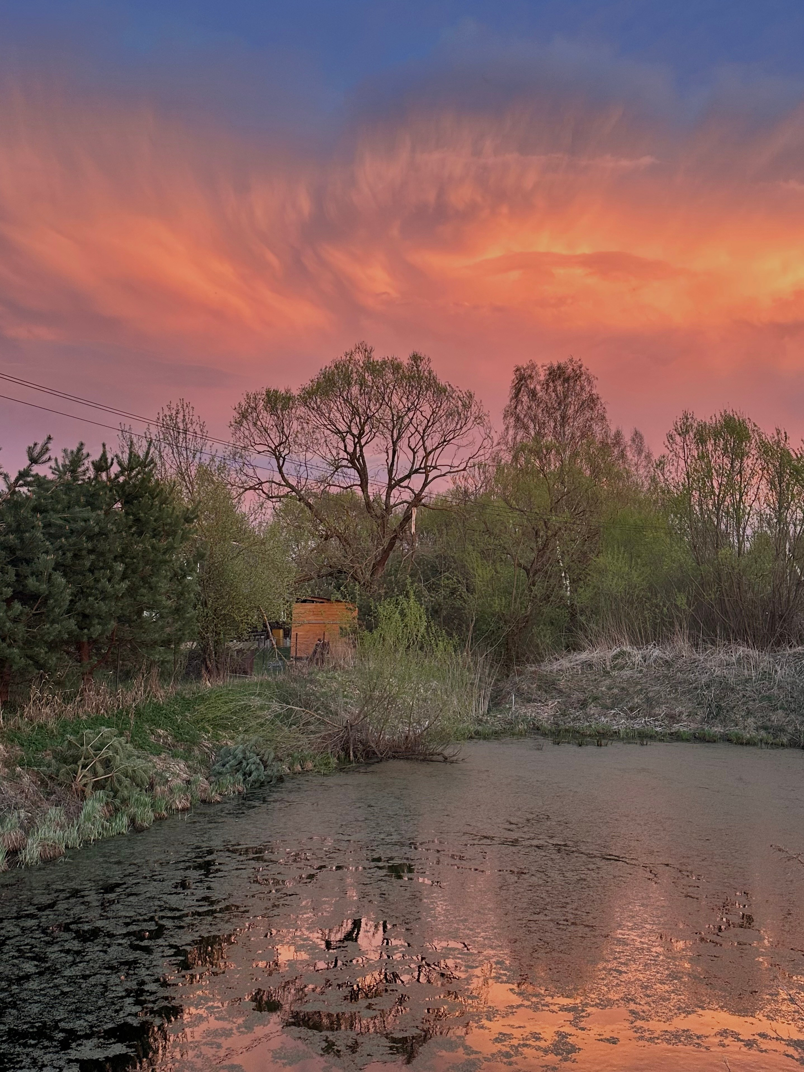 EXHIBITION. Репортажный и интерьерный фотограф, фотохудожник