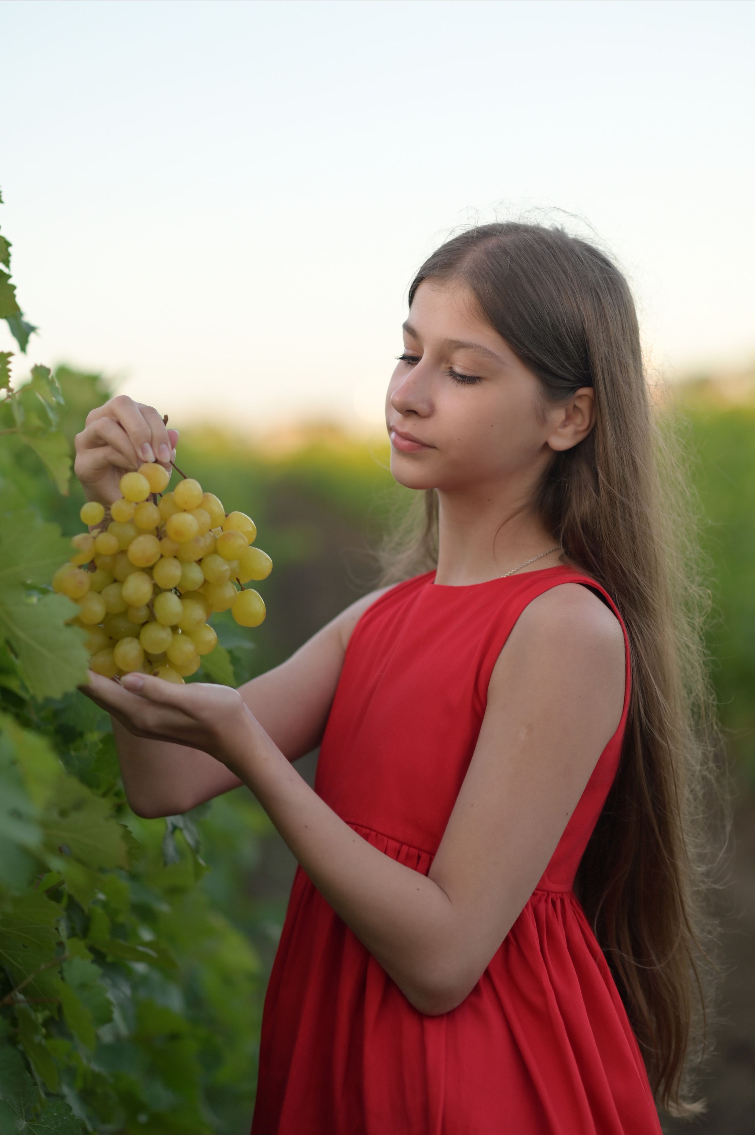 Виноградники. Семейный и детский фотограф Анапа