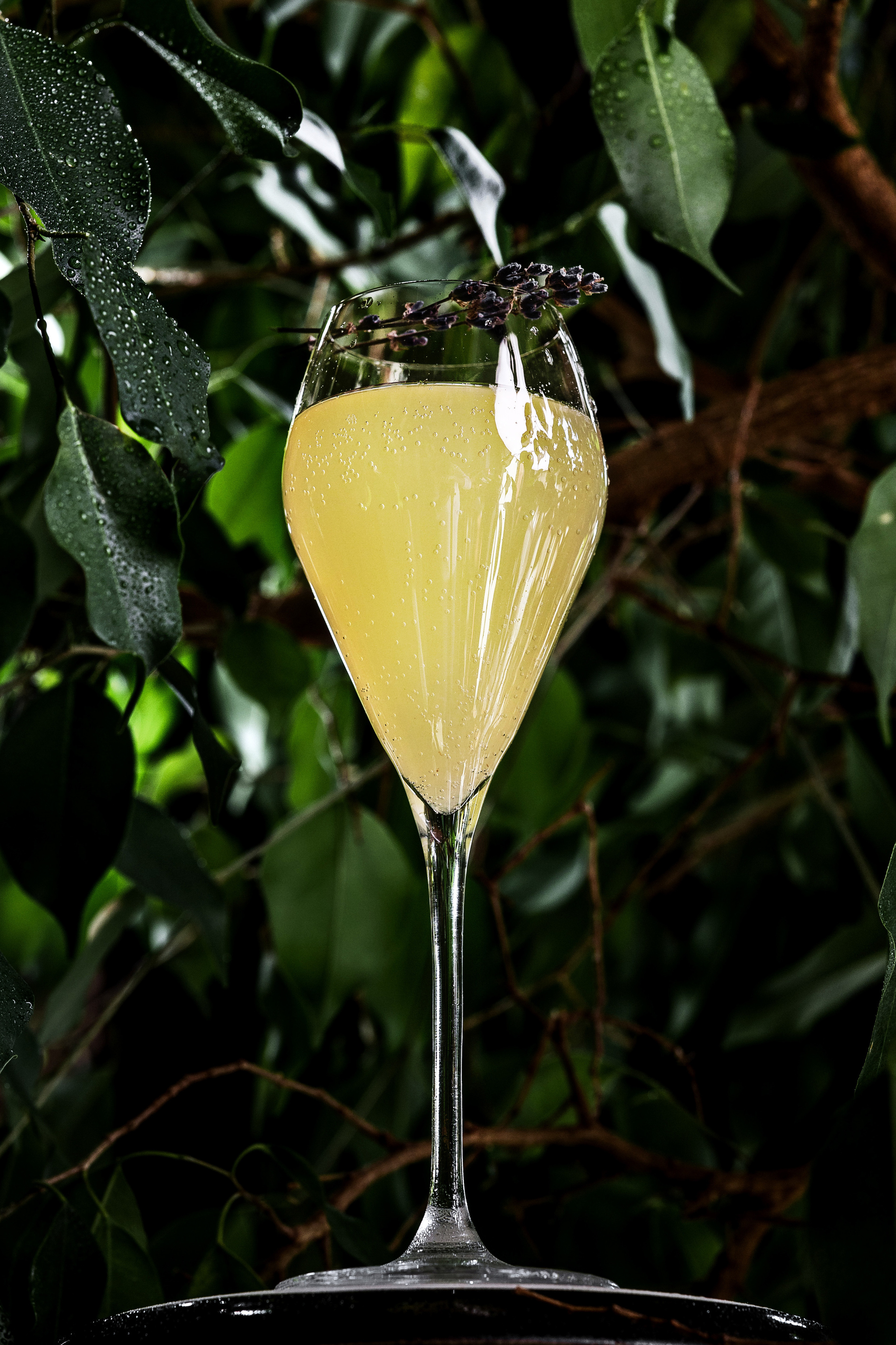 Food съемка. Фотограф Анапа. Екатерина Gladysha