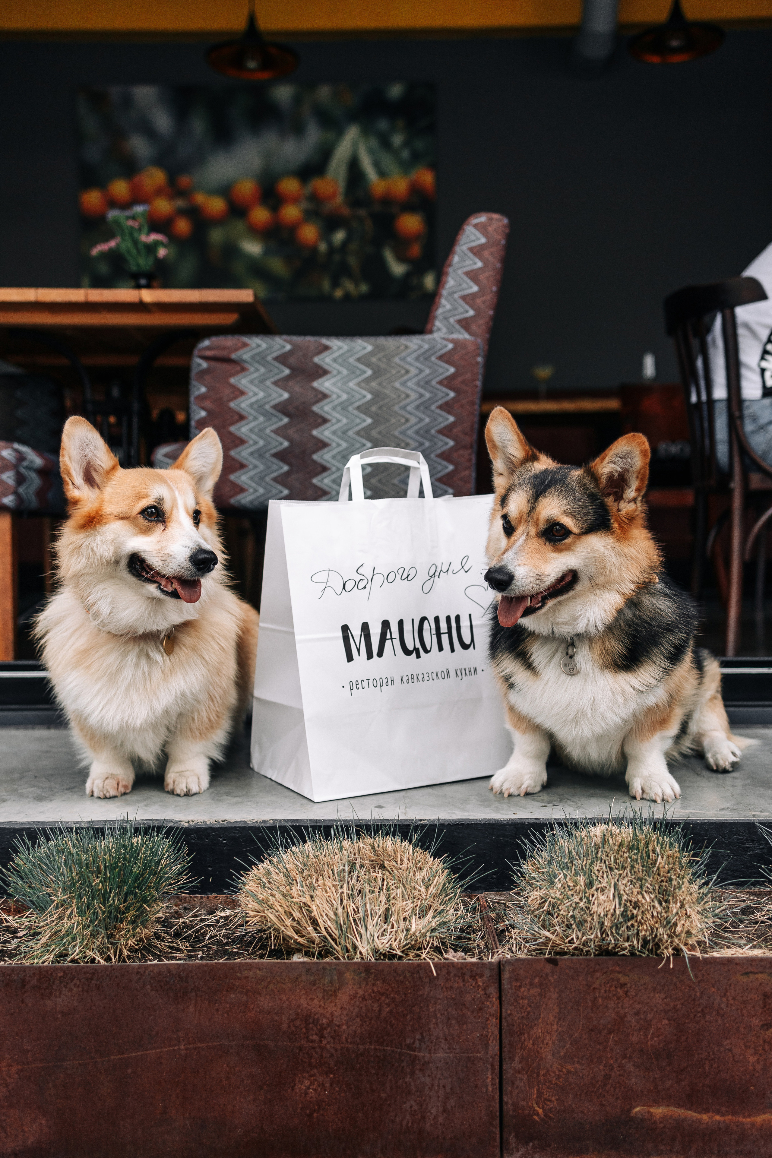 Контент съемка. Фотограф Анапа. Екатерина Gladysha