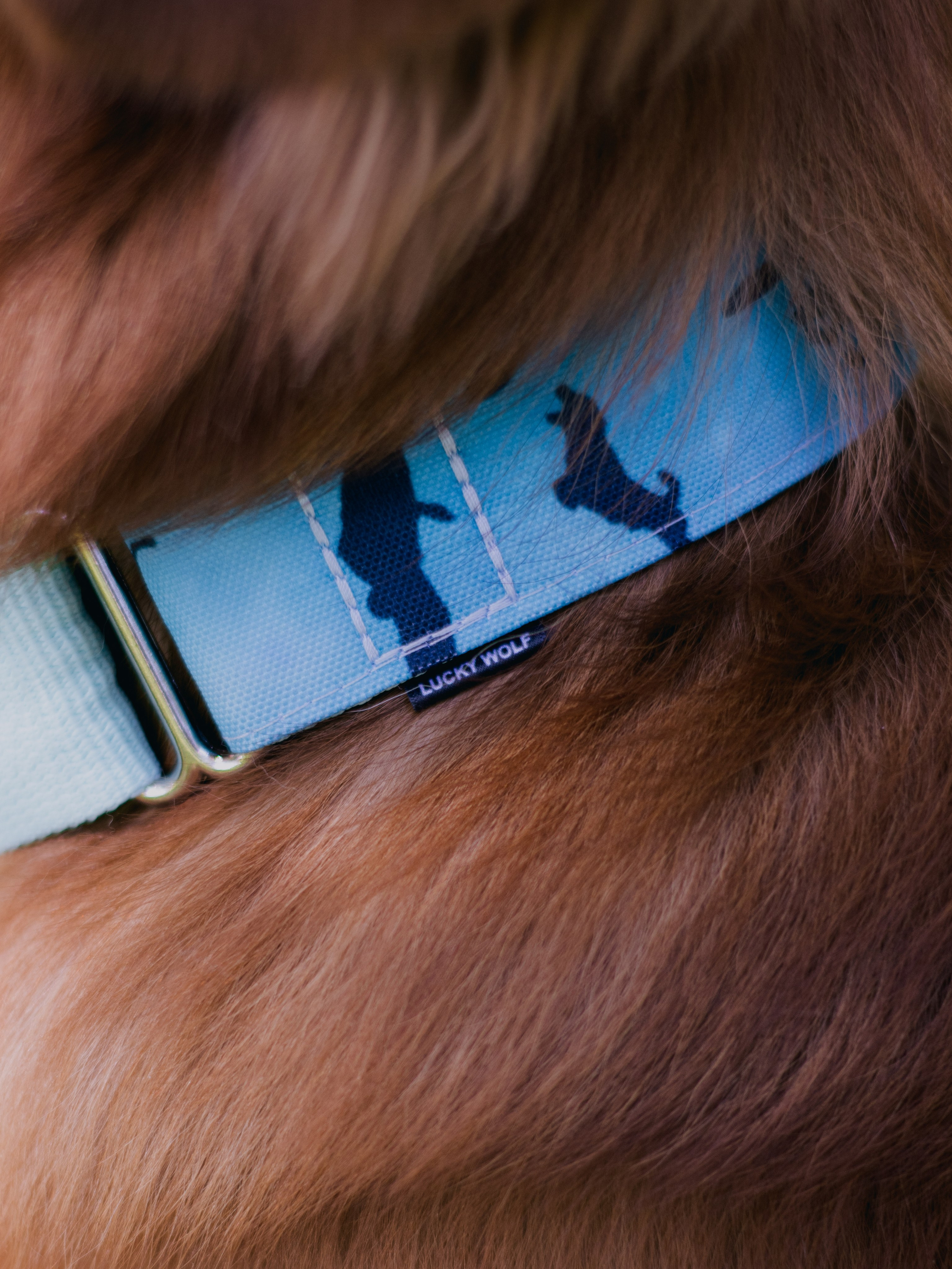 Мастерская амуниции Lucky wolf. Фотограф в Тюмени Лизавета Сапицкая