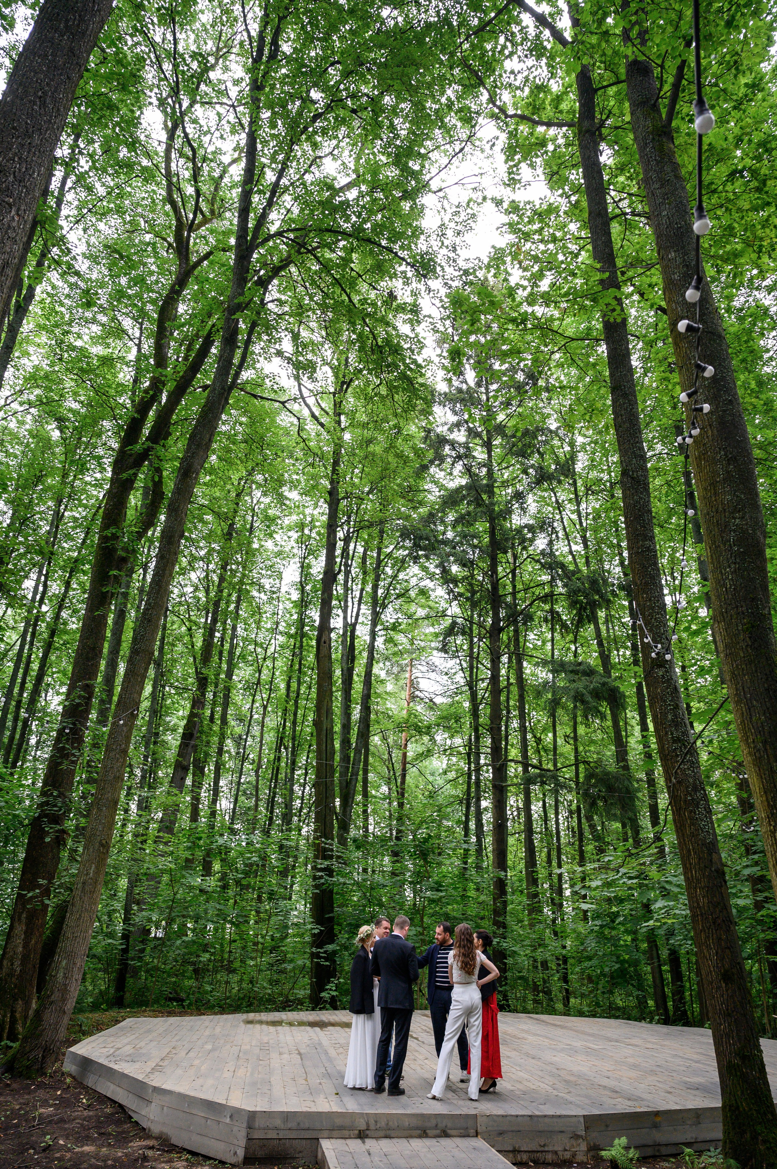 Свадебный фотограф Москва Юрий Кульман Кусково. Свадебный фотограф Москва Юрий Кульман