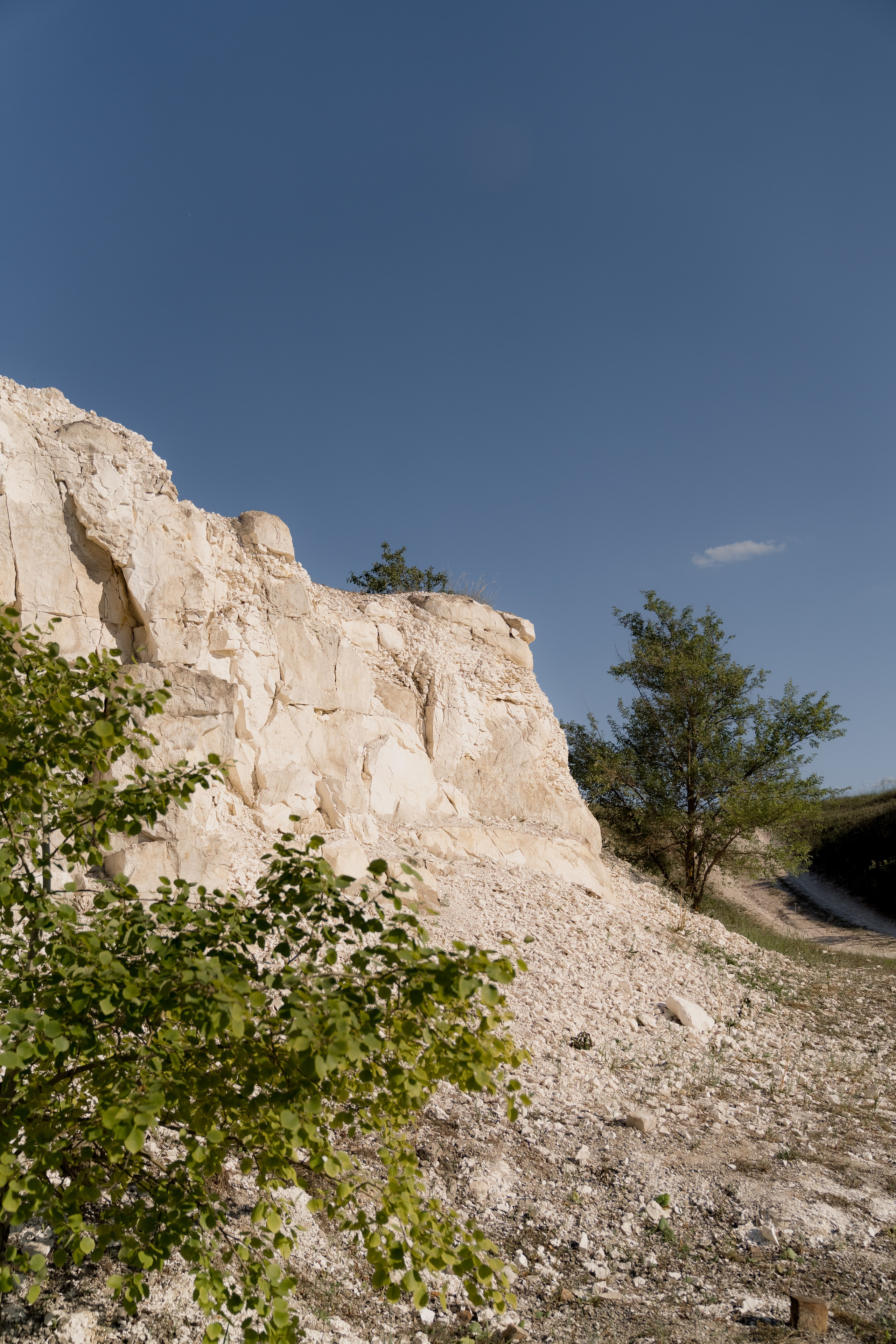 Егор и Лиза. Свадебный фотограф Воронеж Марина Грудинина