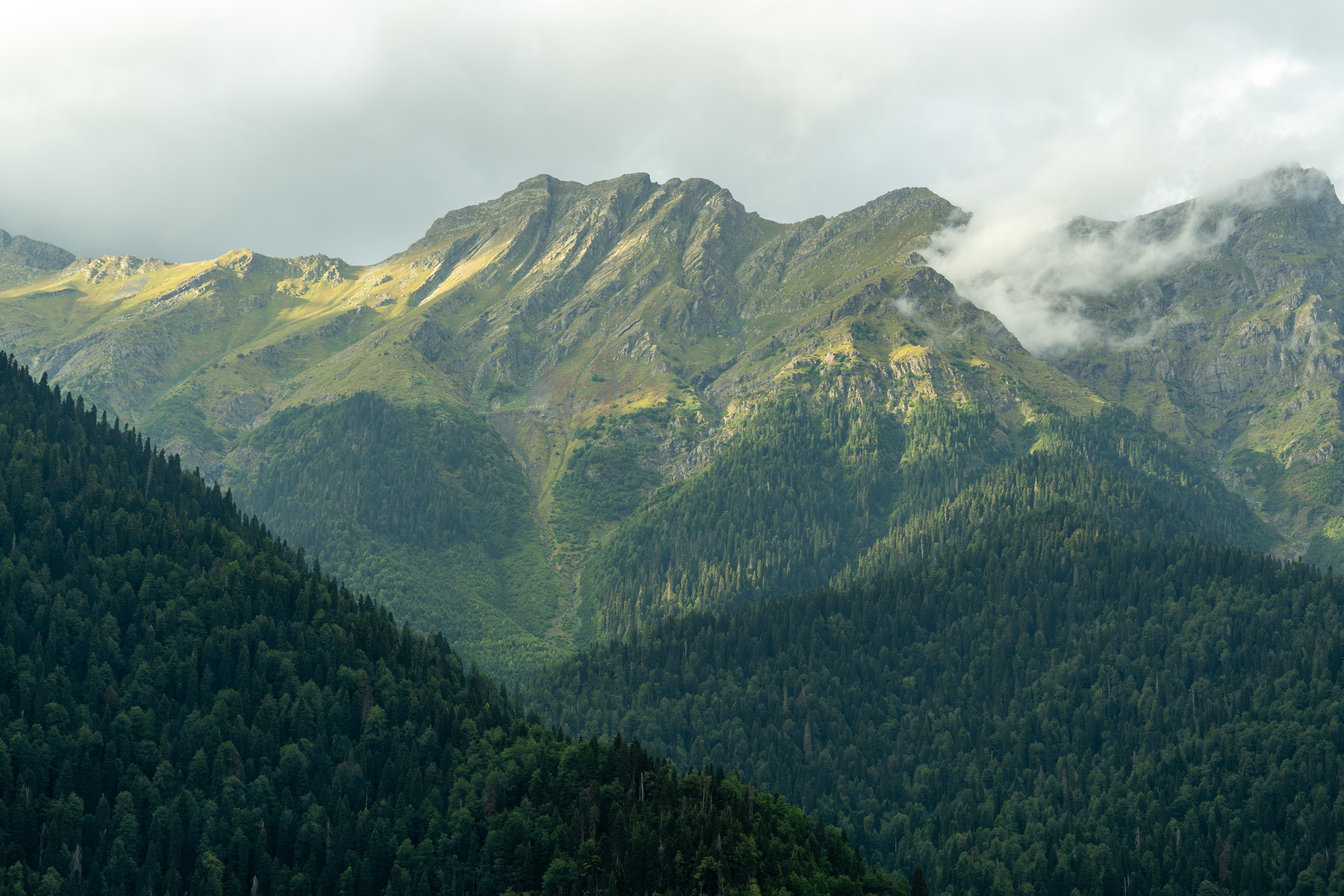 MICE мероприятие — тур по Абхазии. Репортажный фотограф в Красной Поляне и Сочи Павлюченко Екатерина