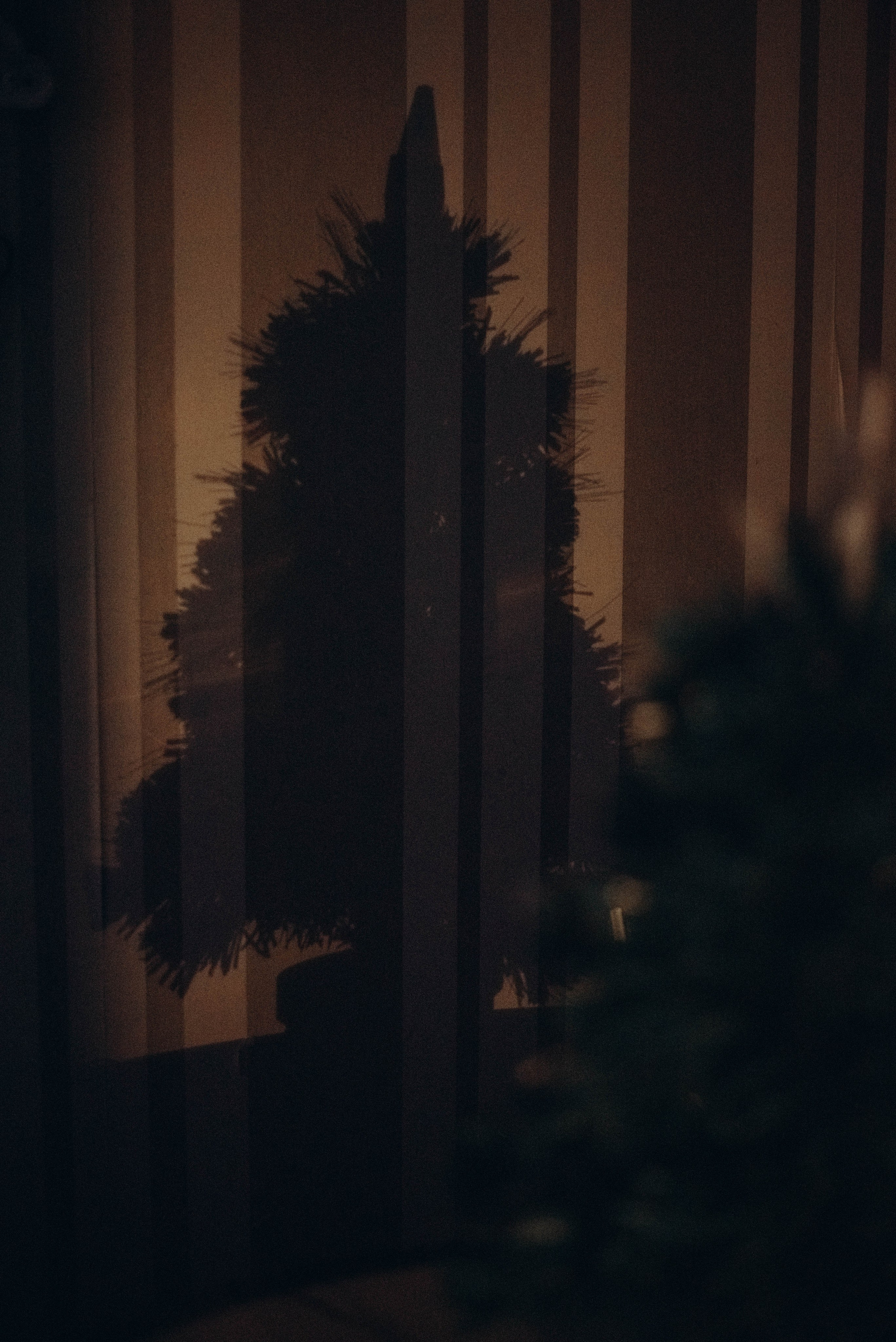 Семейная домашняя фотосессия. Семейный фотограф в Железнодорожном Масаева Елена