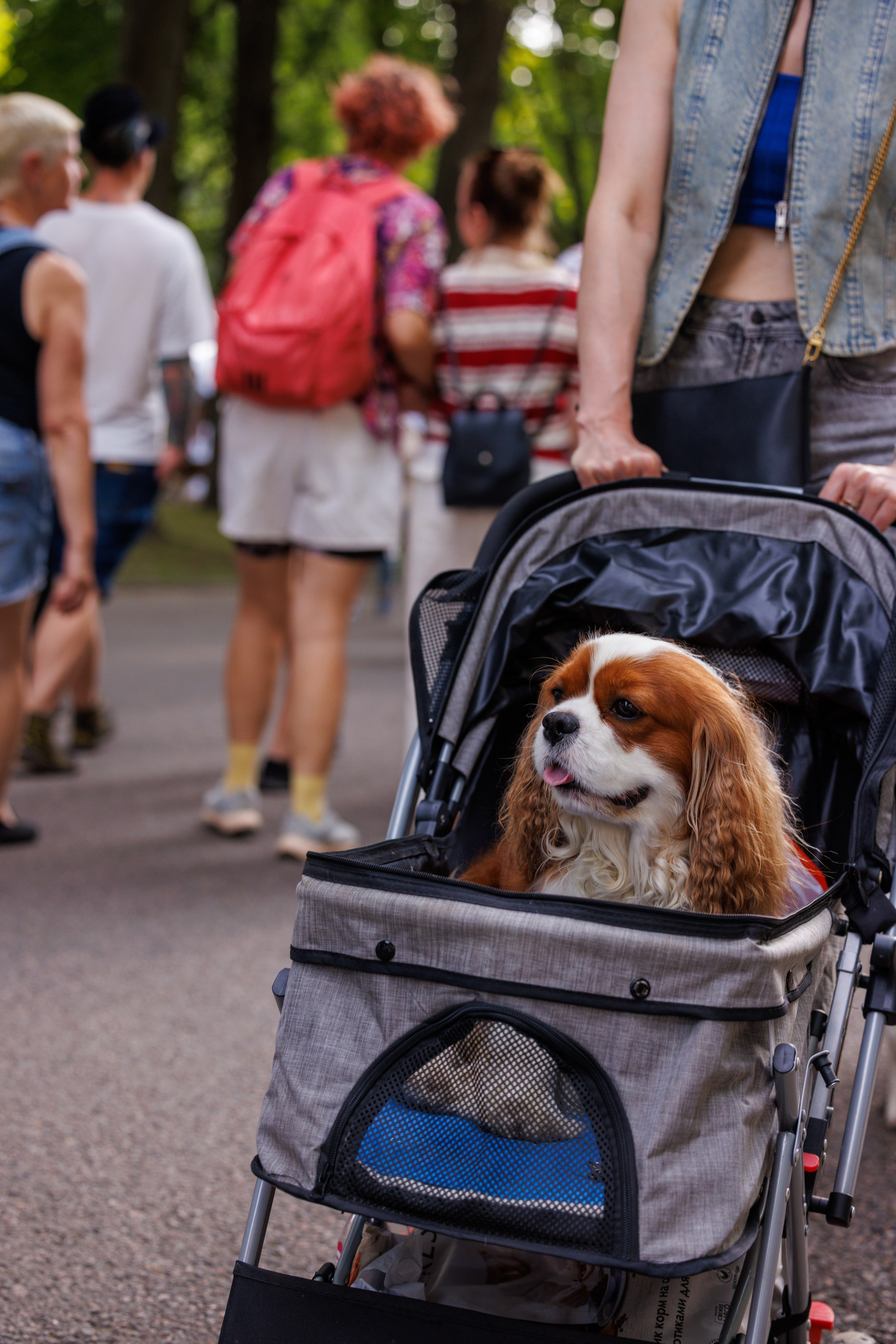 PetShopDays2026. Фотограф Александр Заломаев