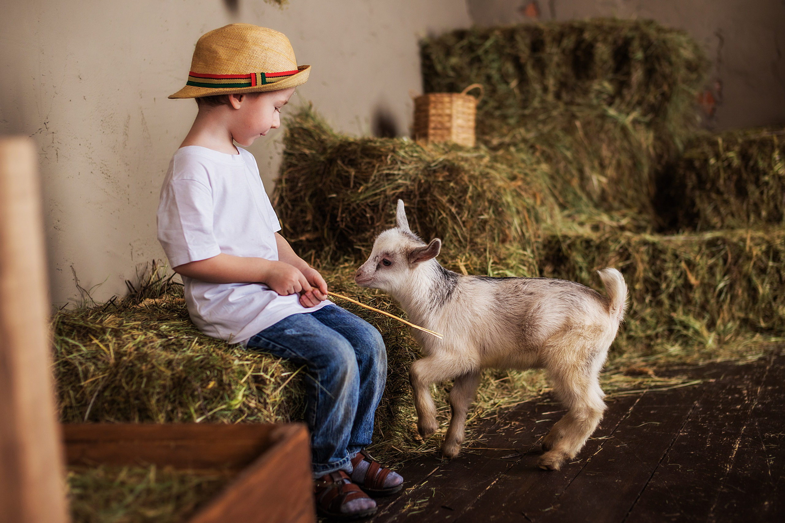 Дети и животные…самый милый альбом. Семейный фотограф в Саратове