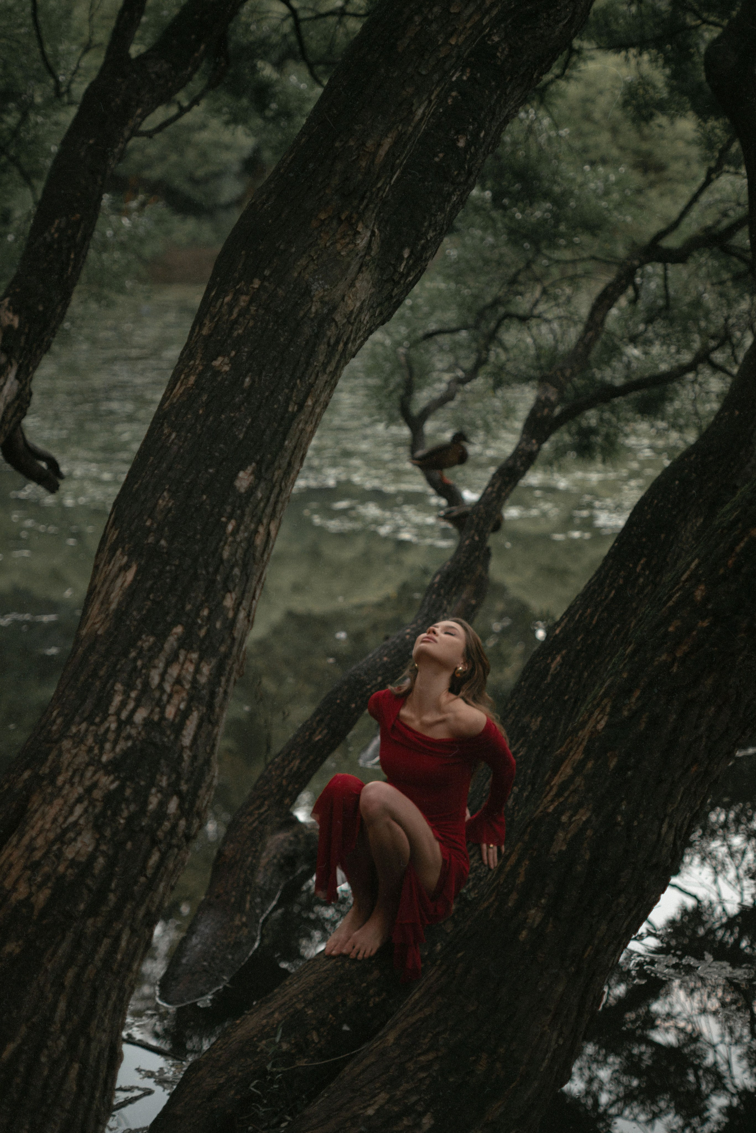 Фотограф Яна Весна