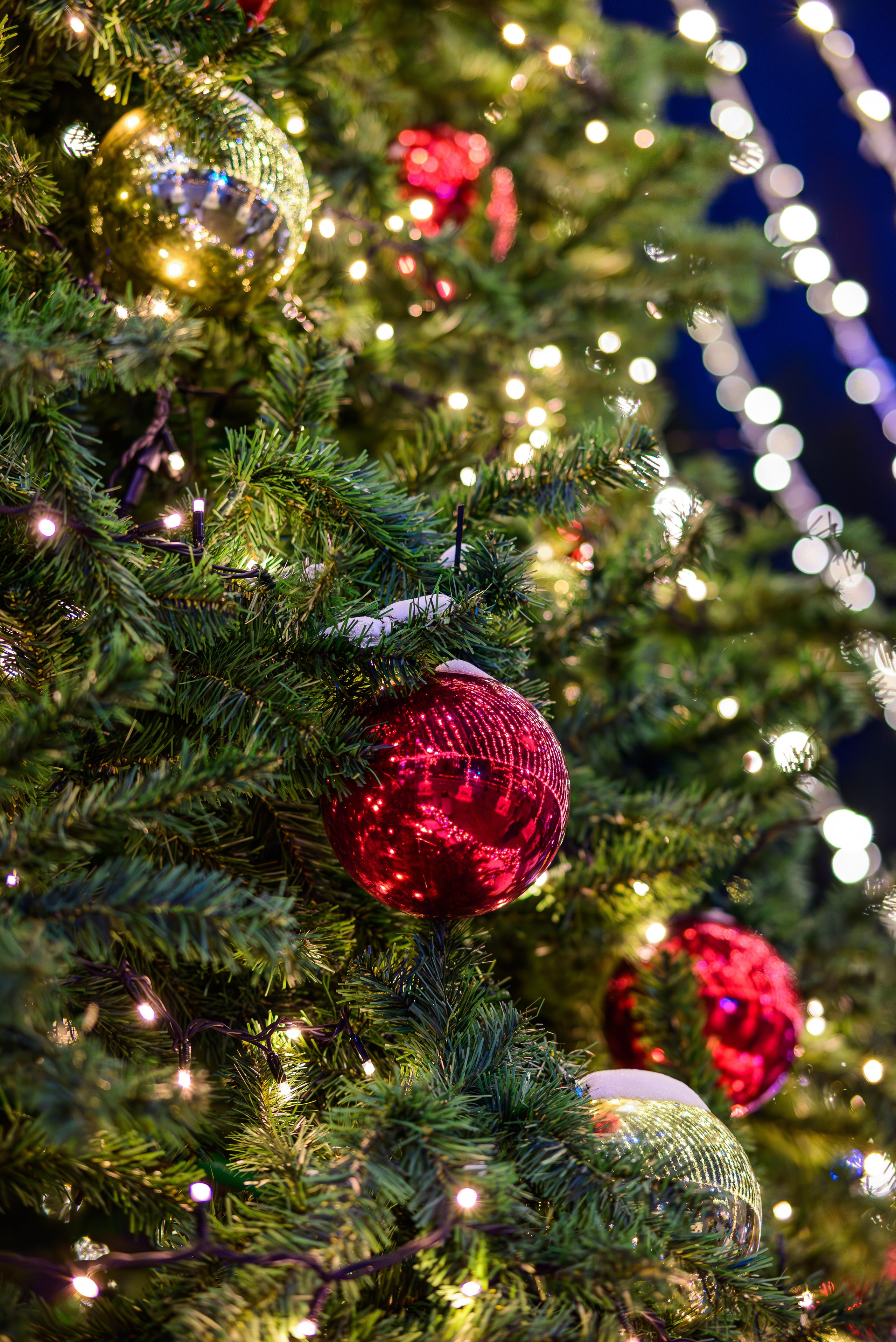 Зимняя Калининградская область. Фотосъемка и видеосъемка в Калининграде Liveemotion.pro