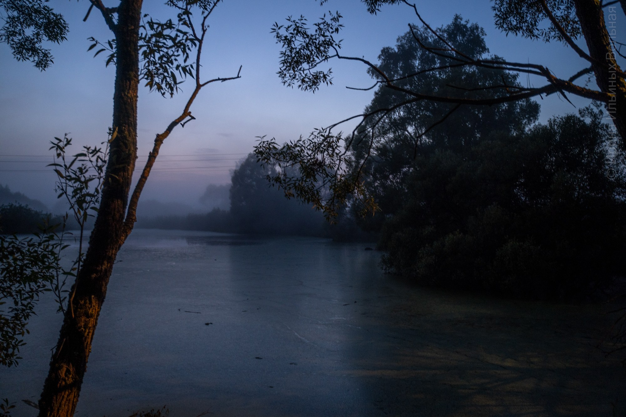 Фотокартины. Семейный фотограф Ирина Ильиных-Вольная в Москве и не только