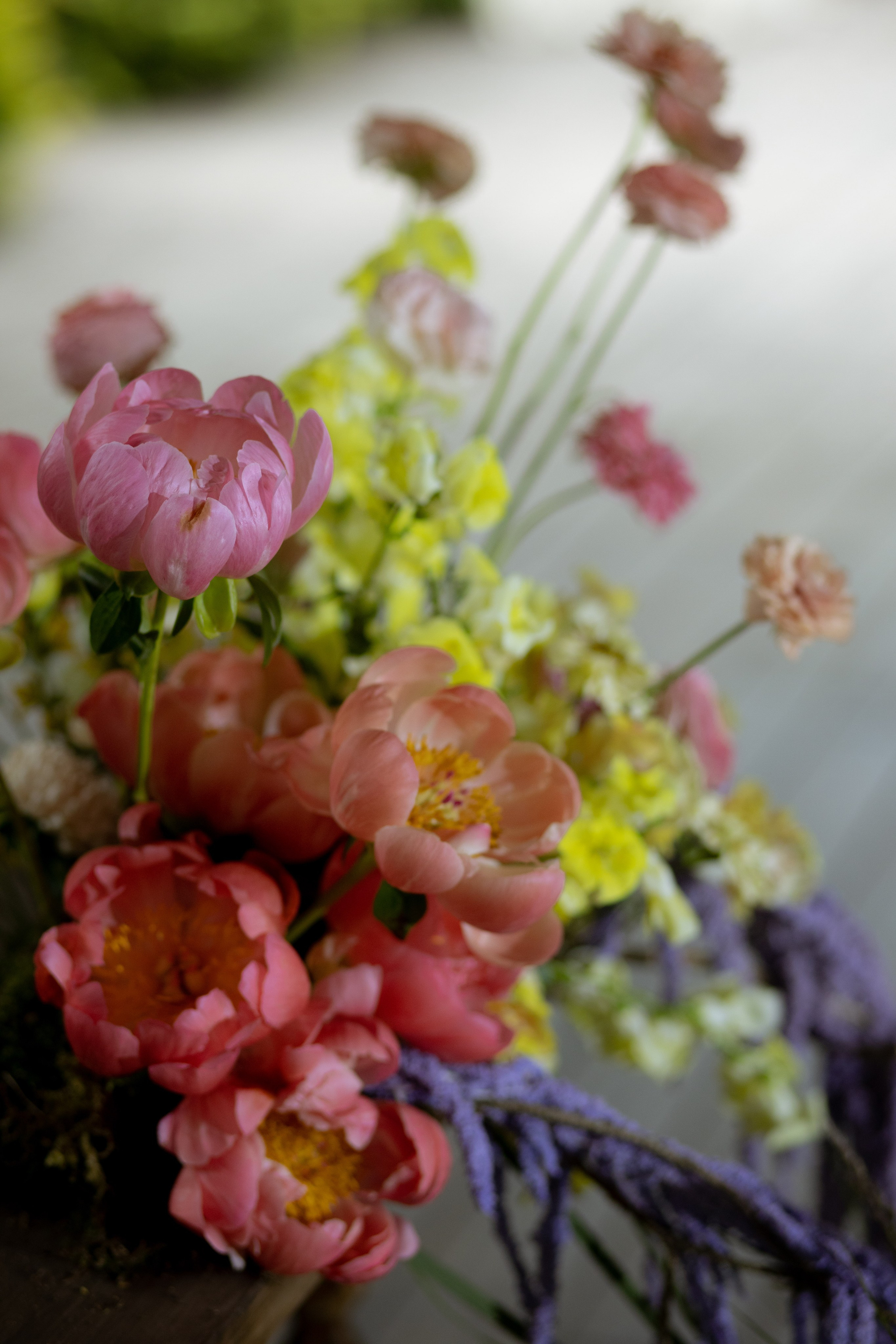 Павел & Полина. Оформление свадеб, декор свадеб Вера Маркова, Москва