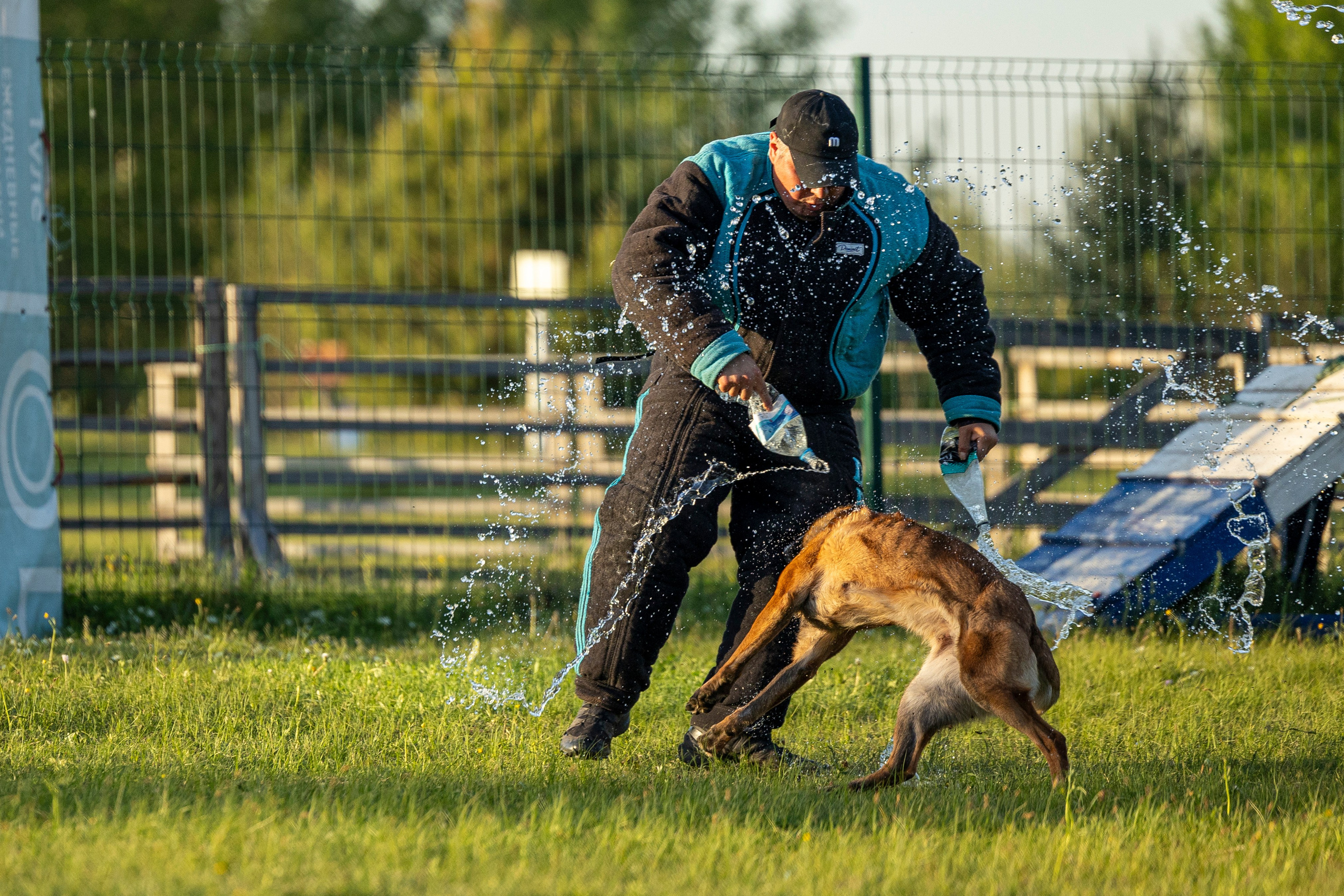 Испытания по мондьорингу в Нижнем Новгороде. Фотограф-анималист Анна Маринич