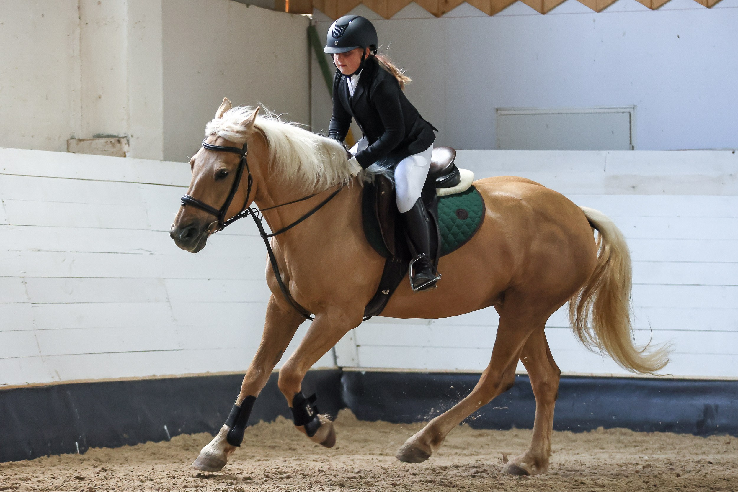 Конный спорт. Спортивный и корпоративный фотограф в Москве Олег Беспалов