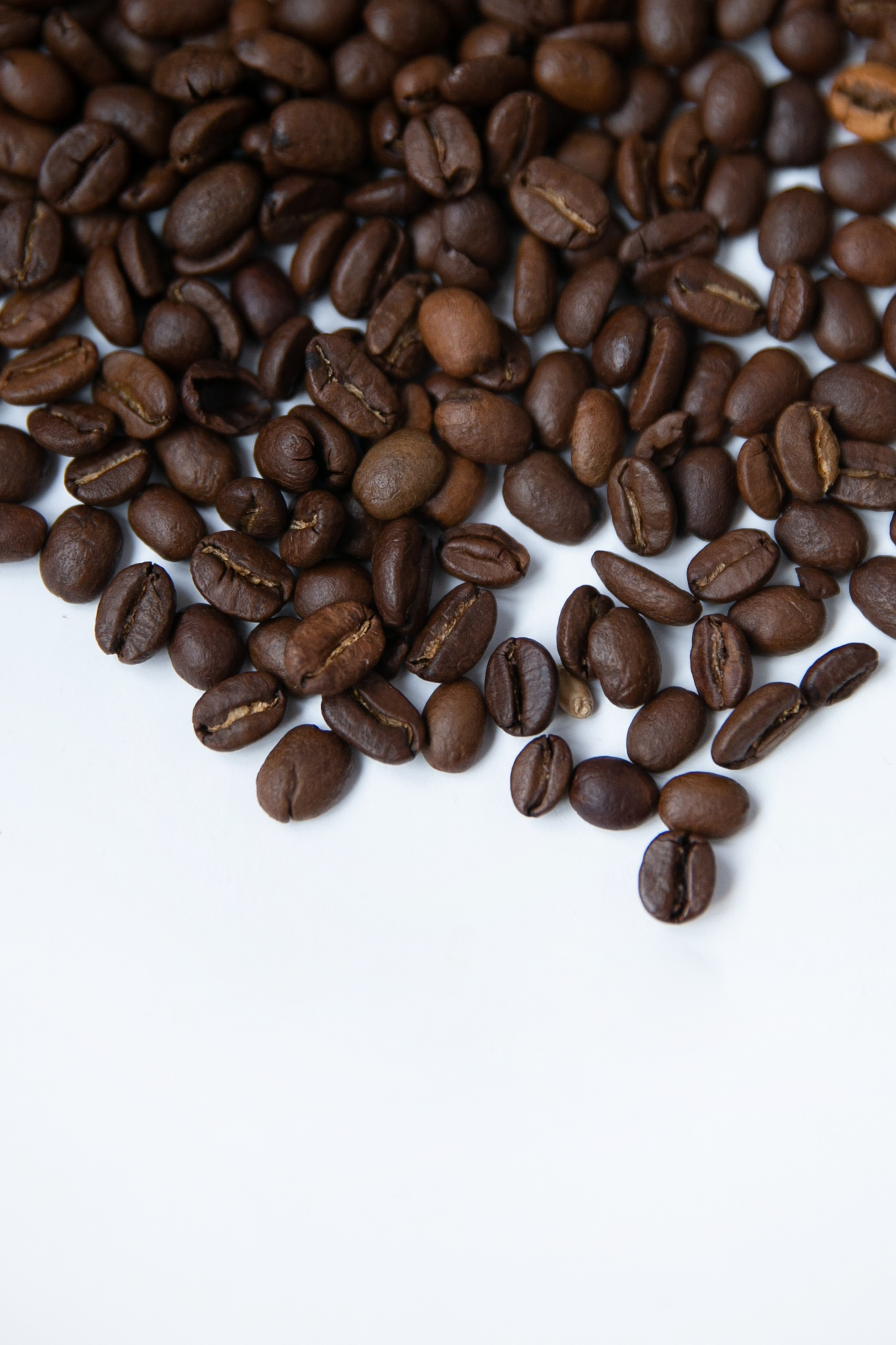 Предметная съемка. Фотограф Кристина Мурашова