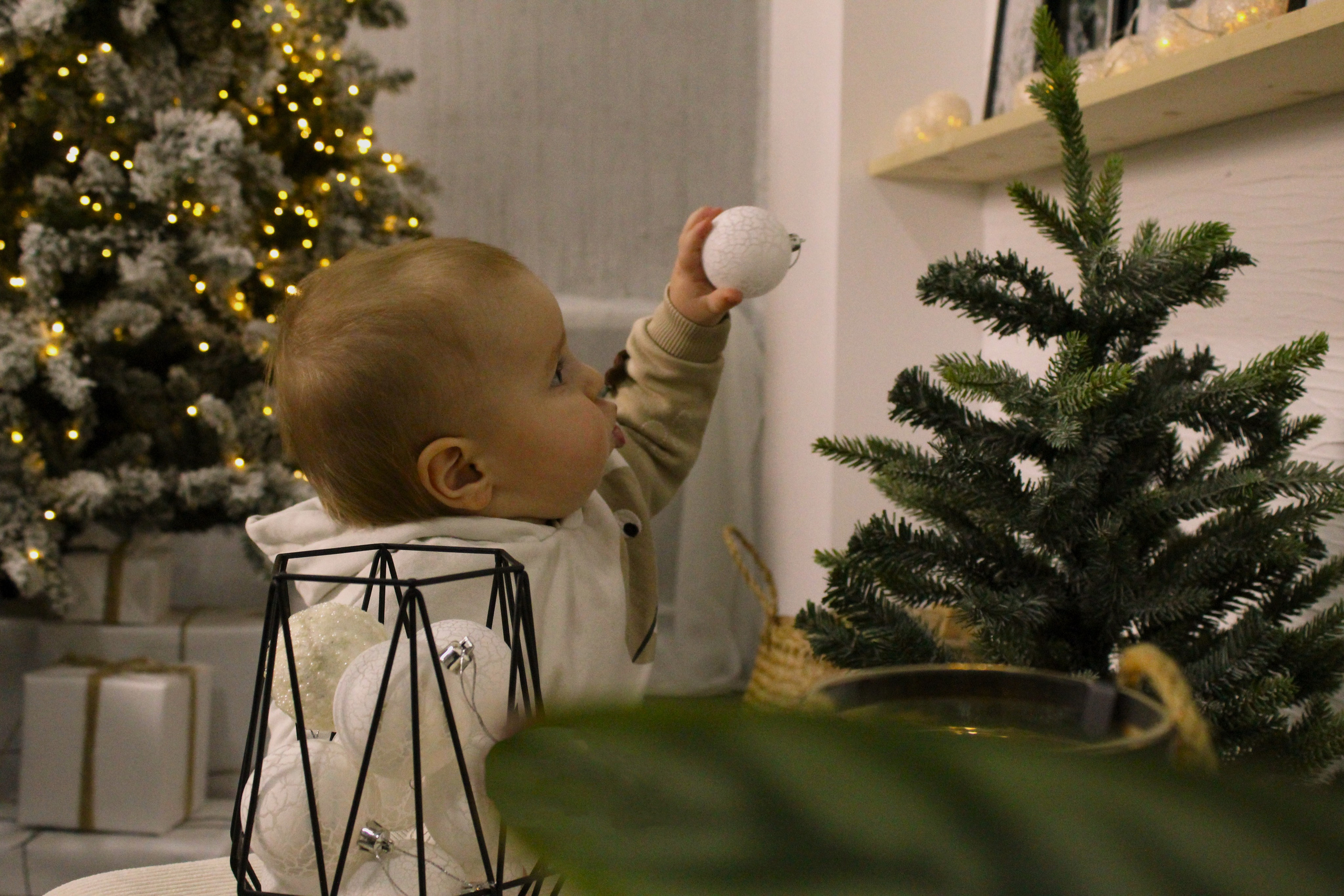 Рождественская. Фотограф в Москве Екатерина Малышева