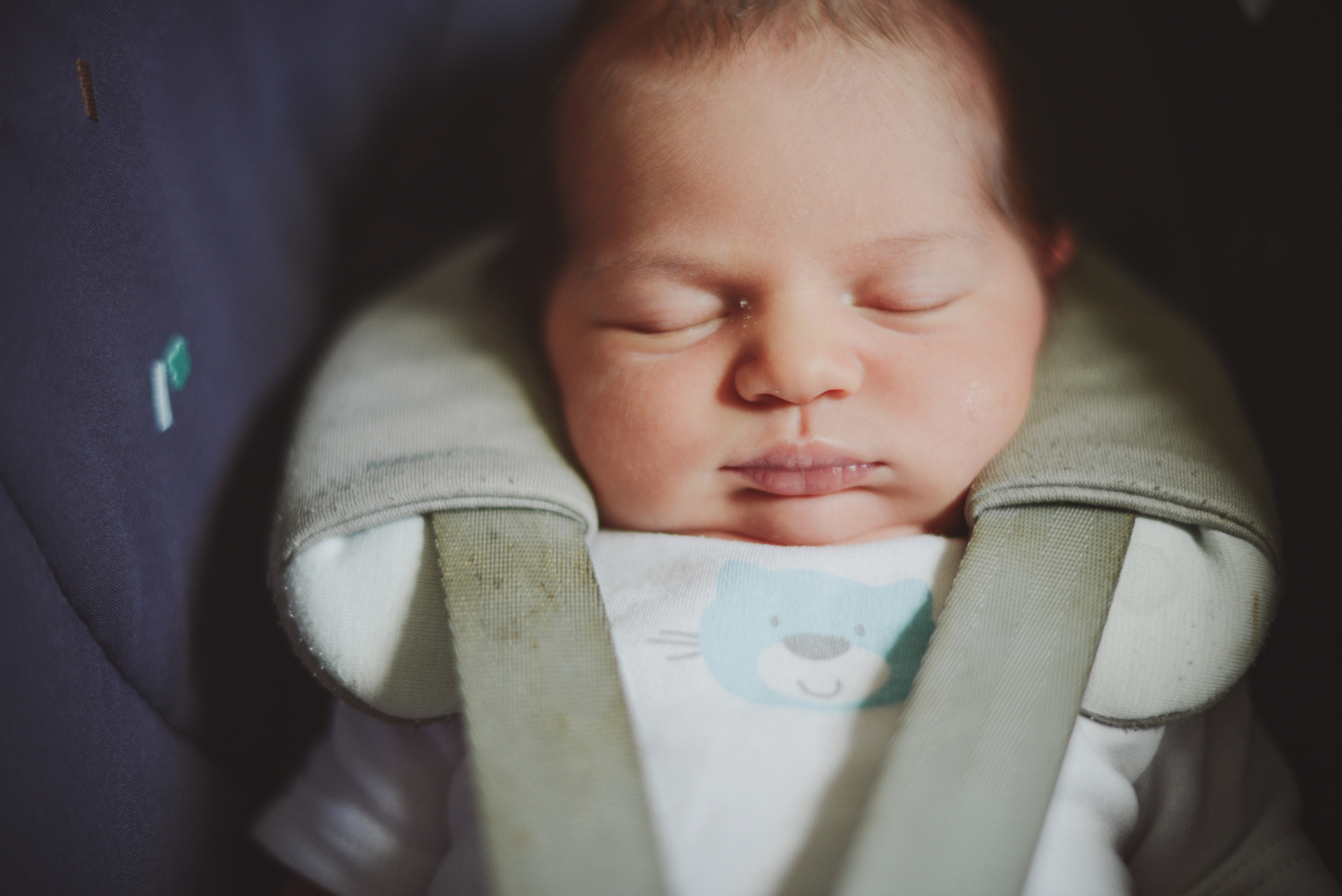 Семейная. Видеооператор и фотограф Таисия Любимова