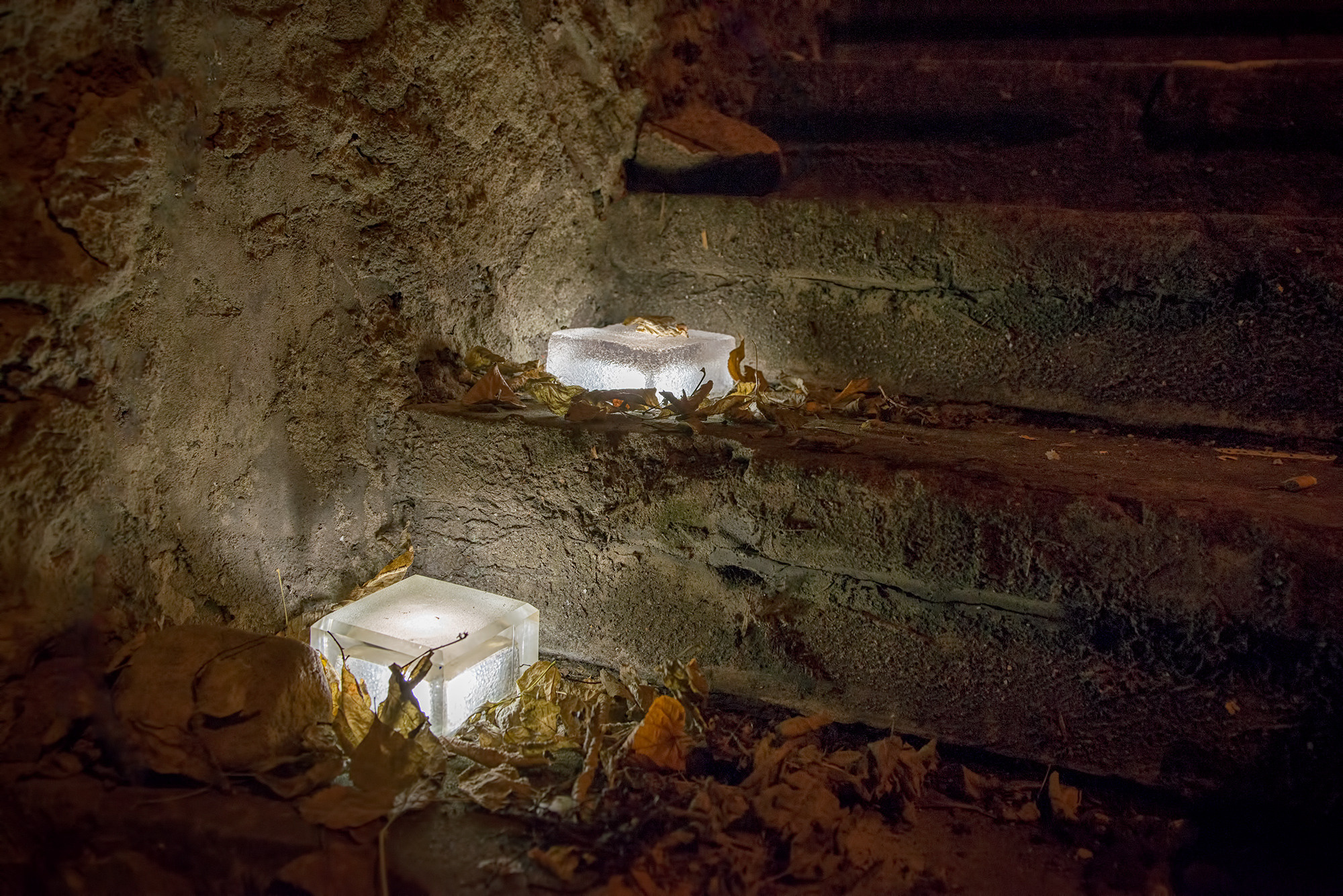 Предметная съёмка. Видеооператор и фотограф Таисия Любимова