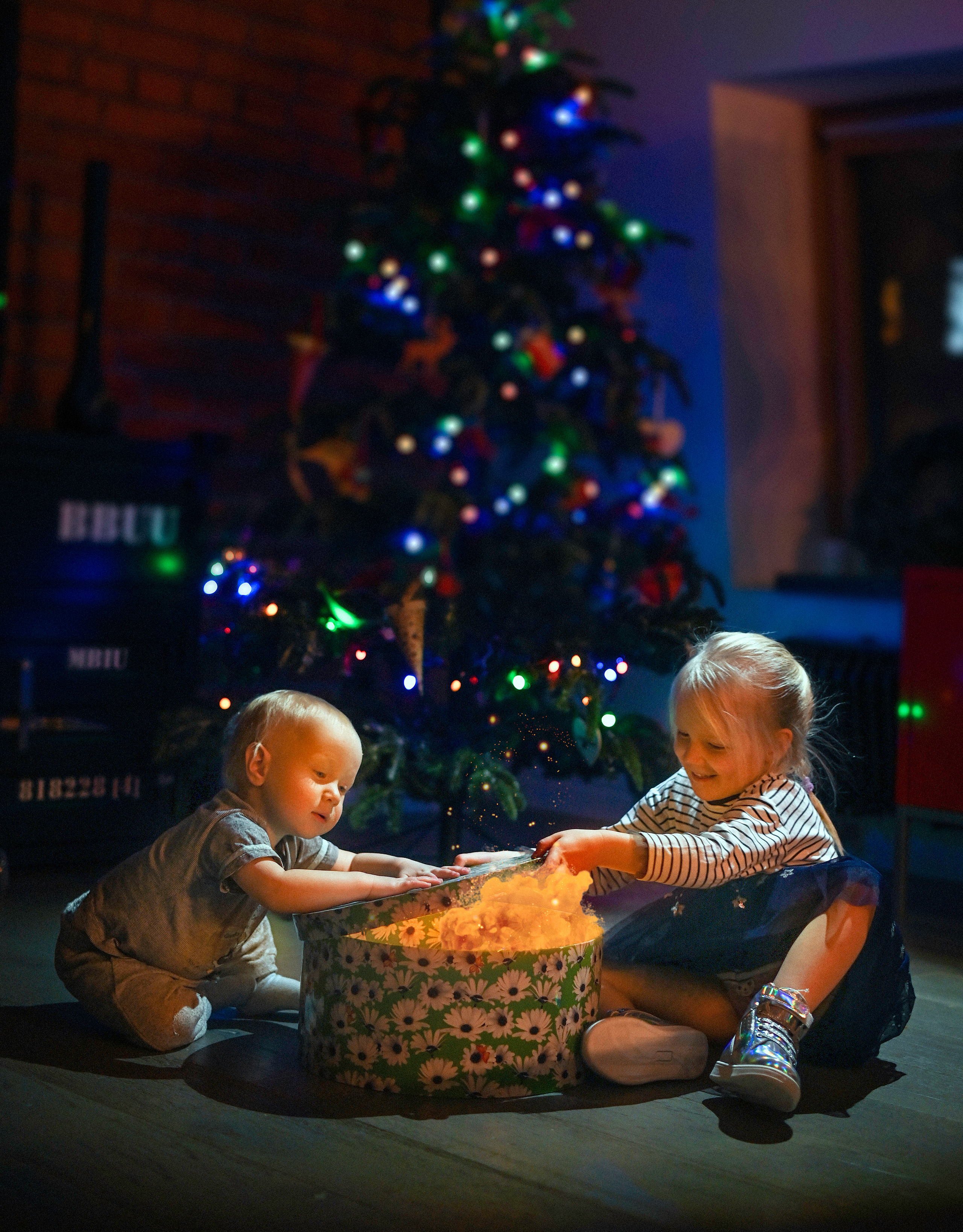 Семейная. Видеооператор и фотограф Таисия Любимова