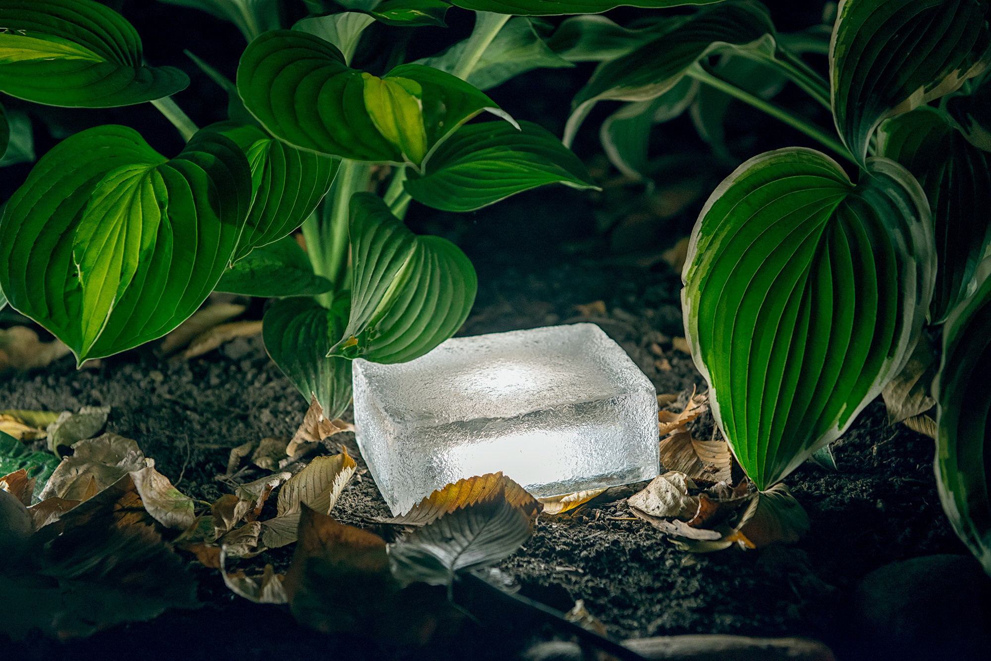 Предметная съёмка. Видеооператор и фотограф Таисия Любимова