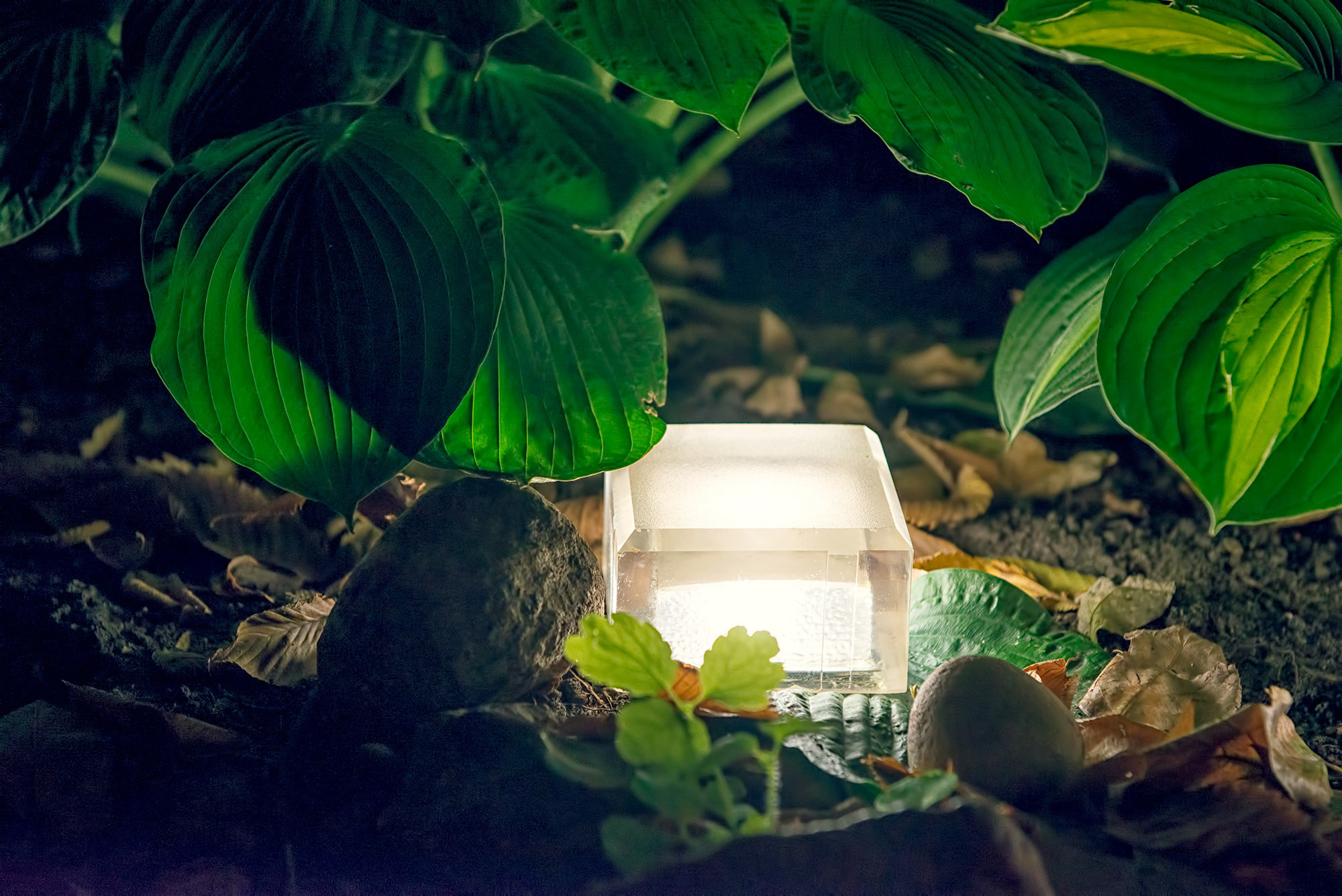 Предметная съёмка. Видеооператор и фотограф Таисия Любимова