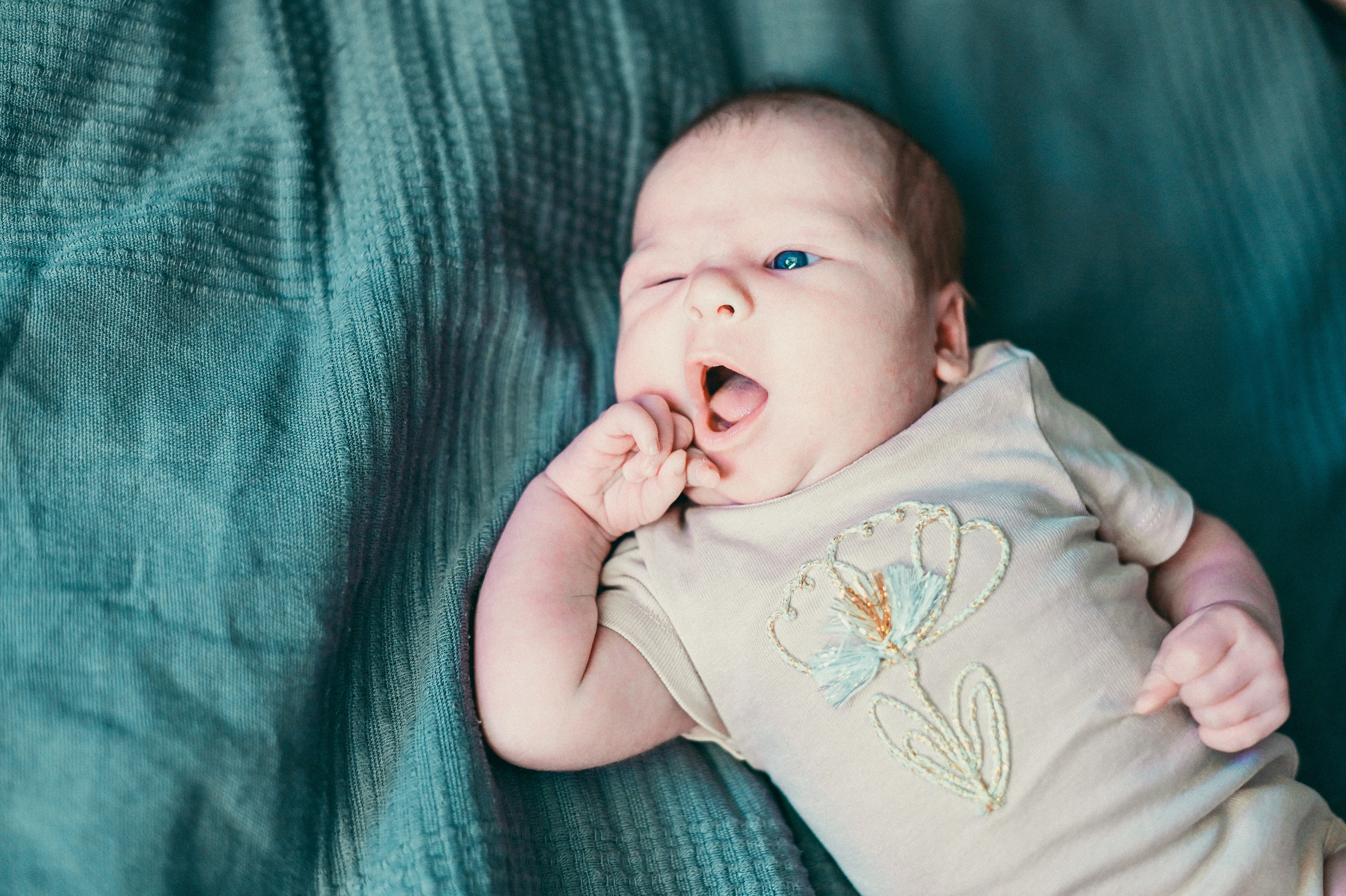 Семейная. Видеооператор и фотограф Таисия Любимова