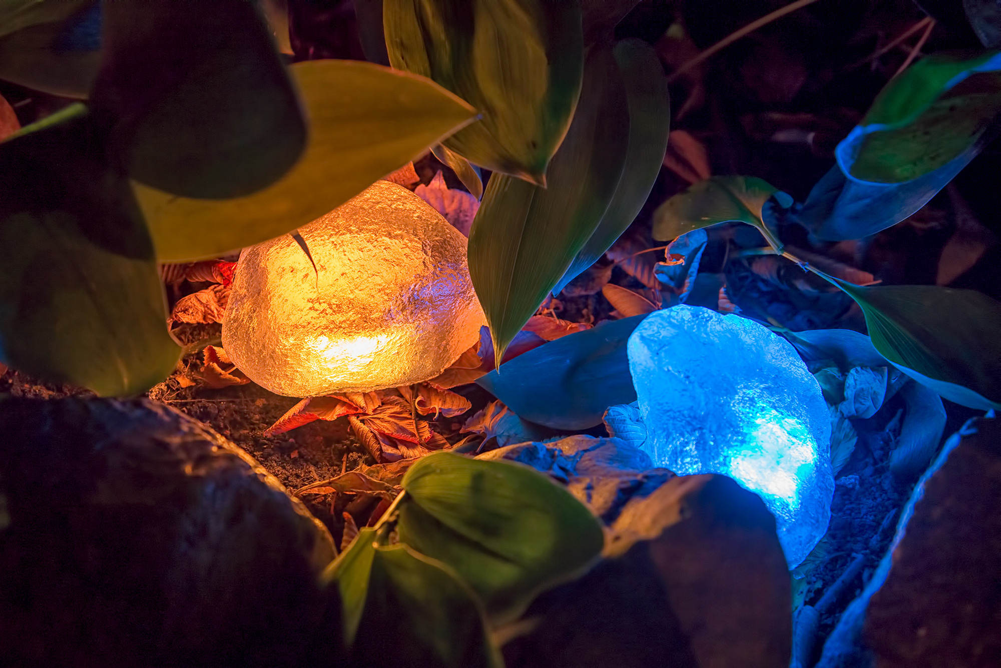 Предметная съёмка. Видеооператор и фотограф Таисия Любимова