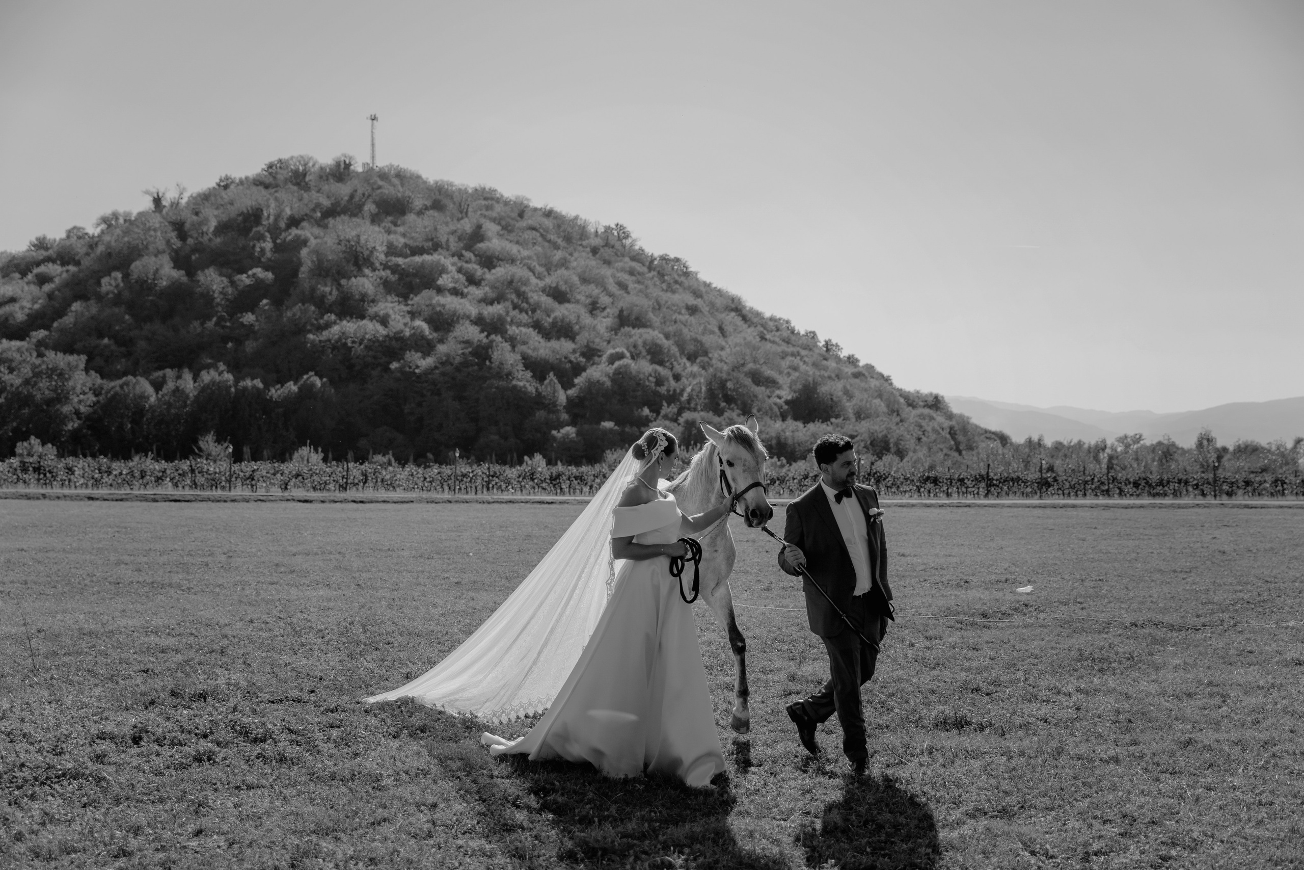 Nader & Darya. Anastasiya Krasnyuk