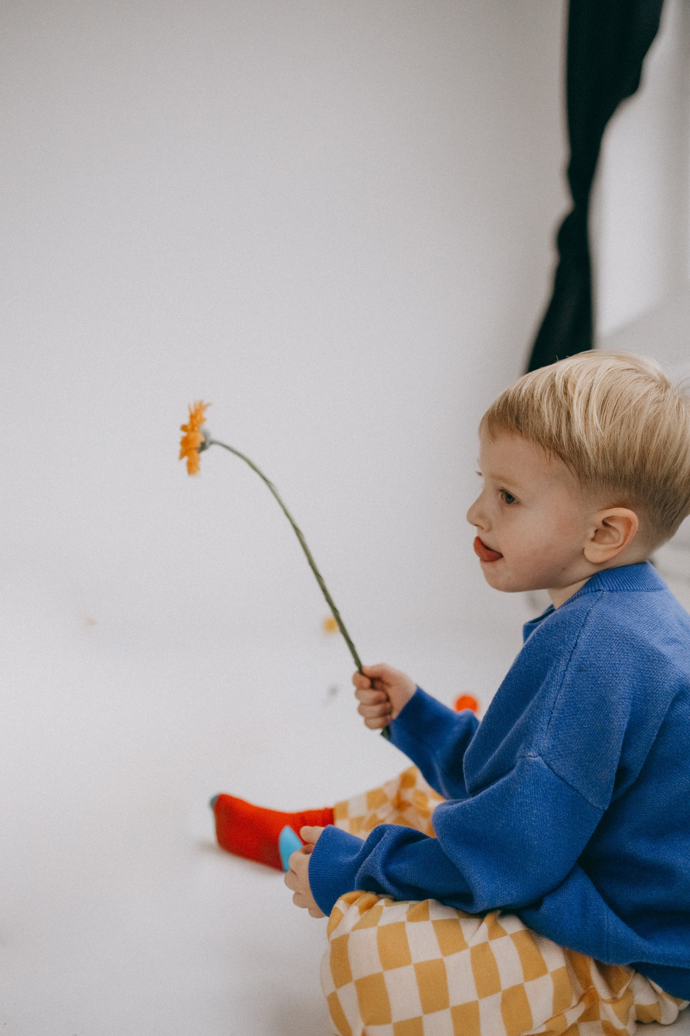 Проект ко дню матери. Главная