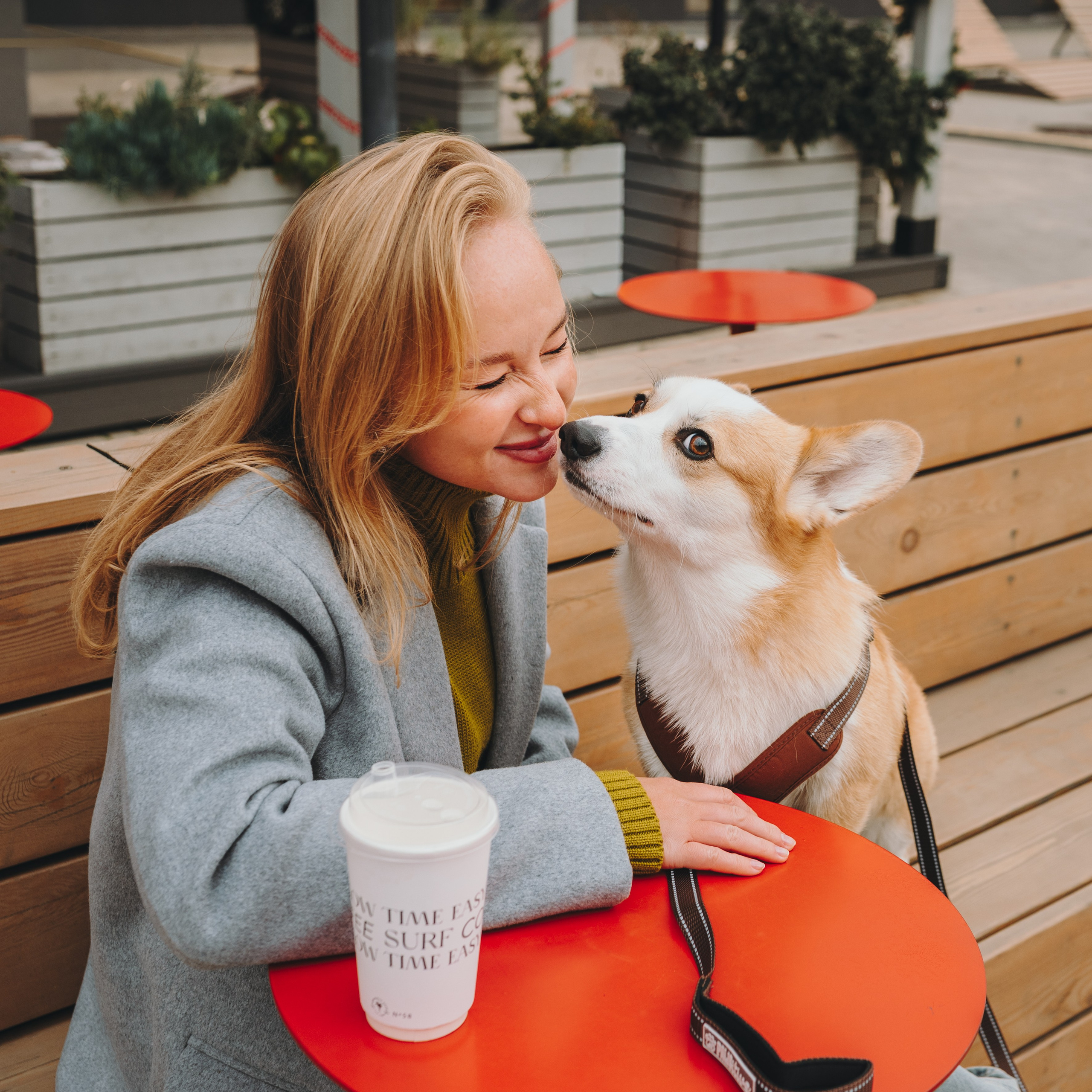 Pawsitive. Семейный фотограф анималист Ананьева Мария — Москва