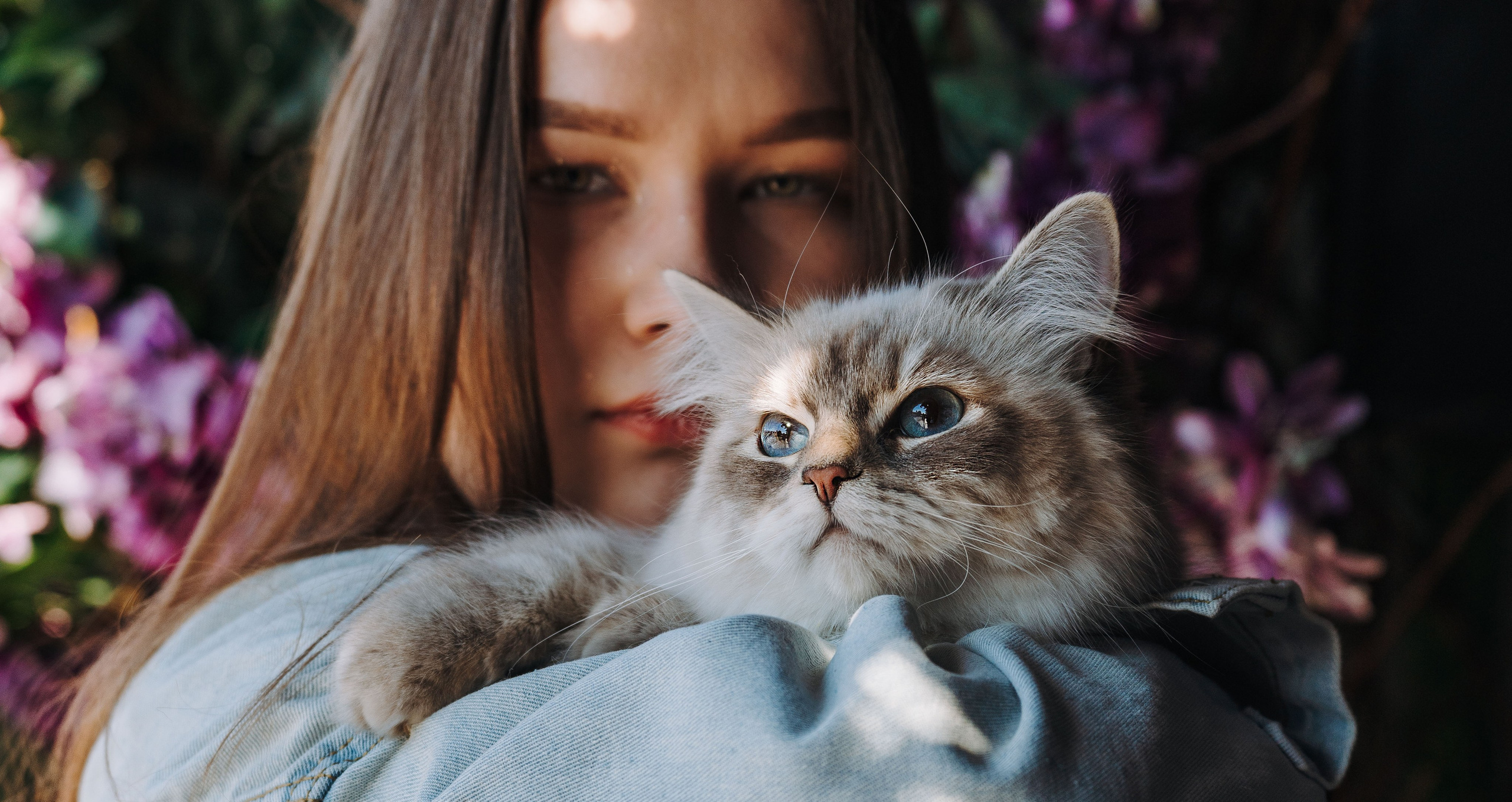 Сильвия, Полина и Никита. Фотограф анималист в Спб недорого Олеся Майорова