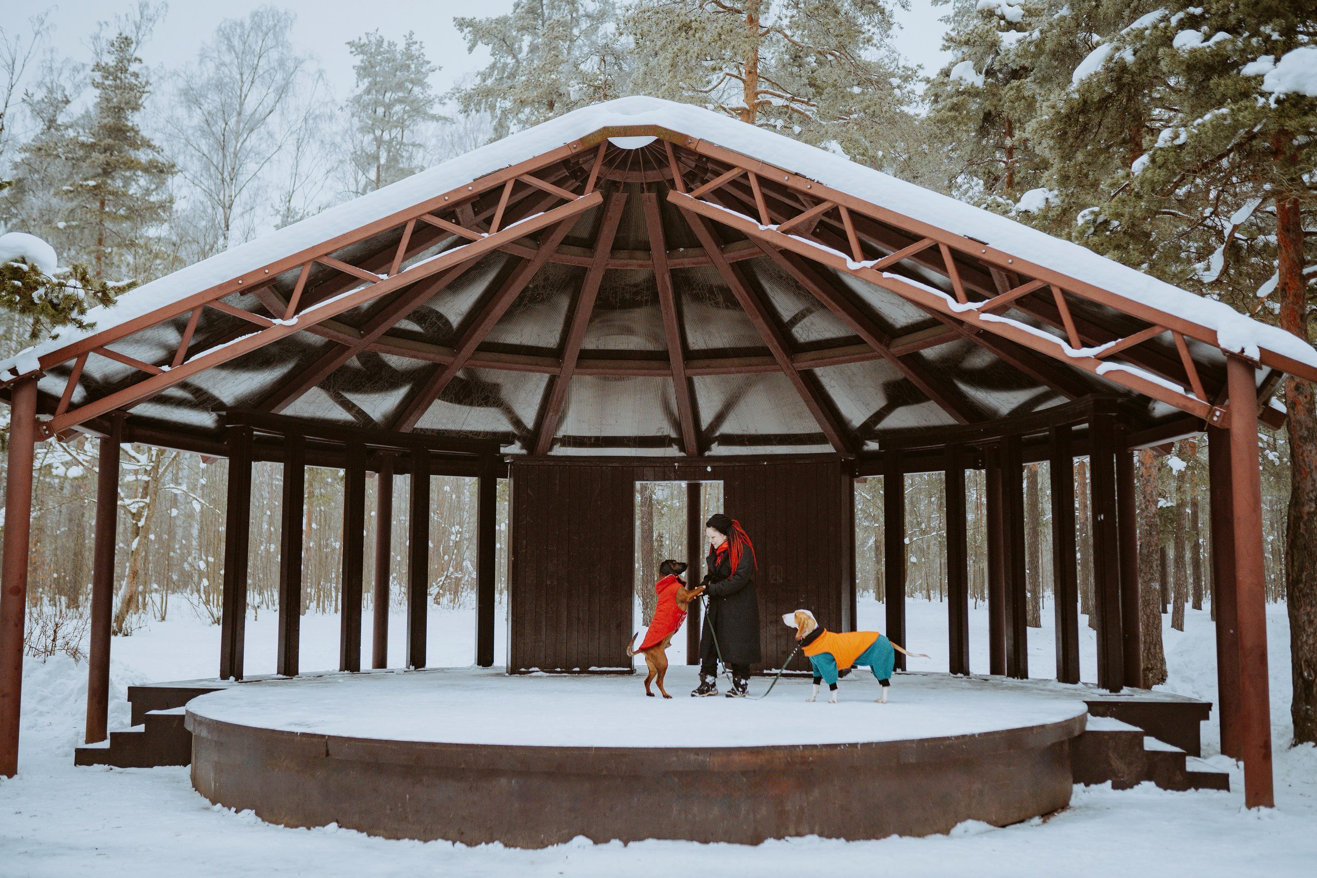 Ольга, Рора и Румпель. Фотограф анималист в Спб недорого Олеся Майорова