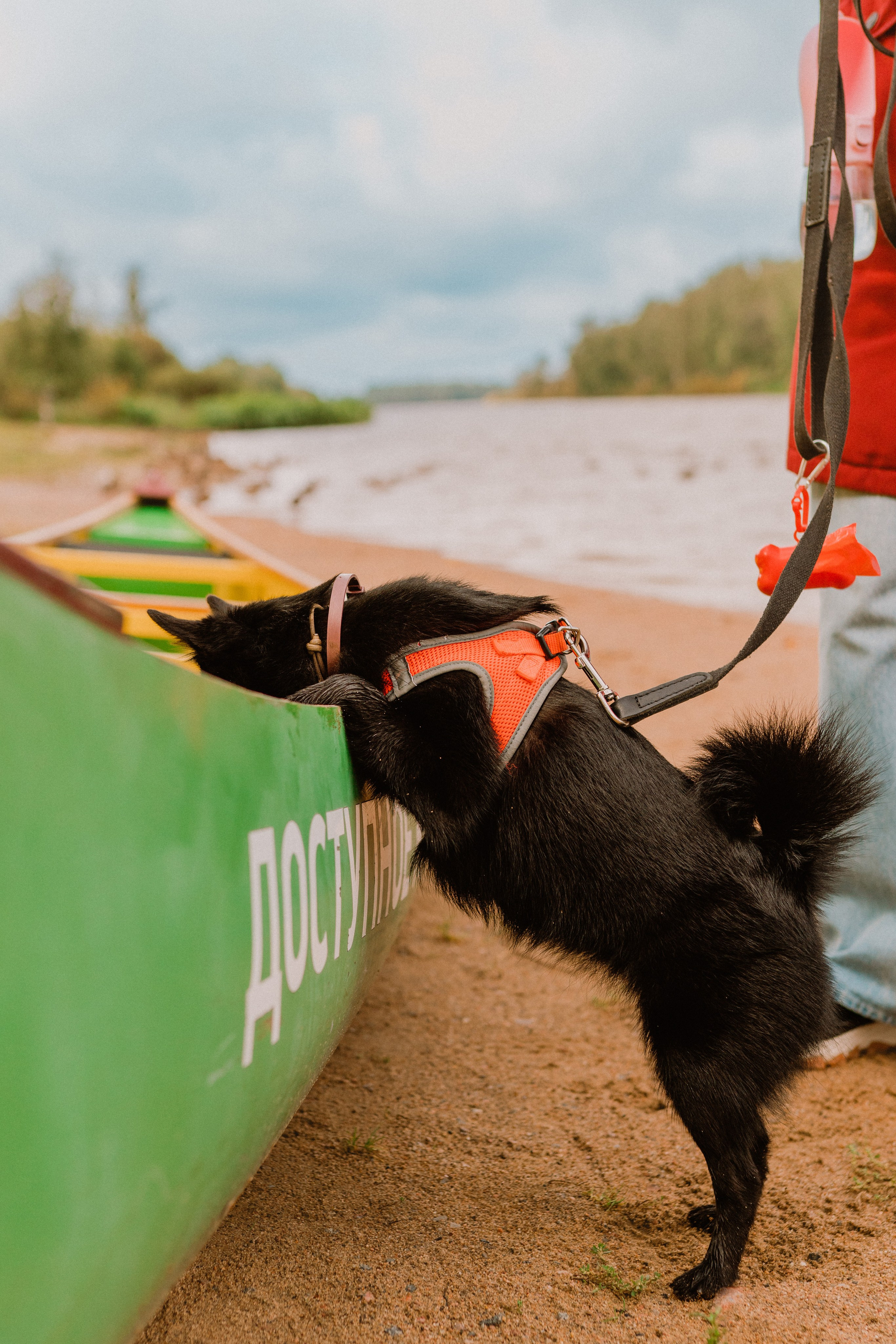 Евгения и Акула. Фотограф анималист в Спб недорого Олеся Майорова